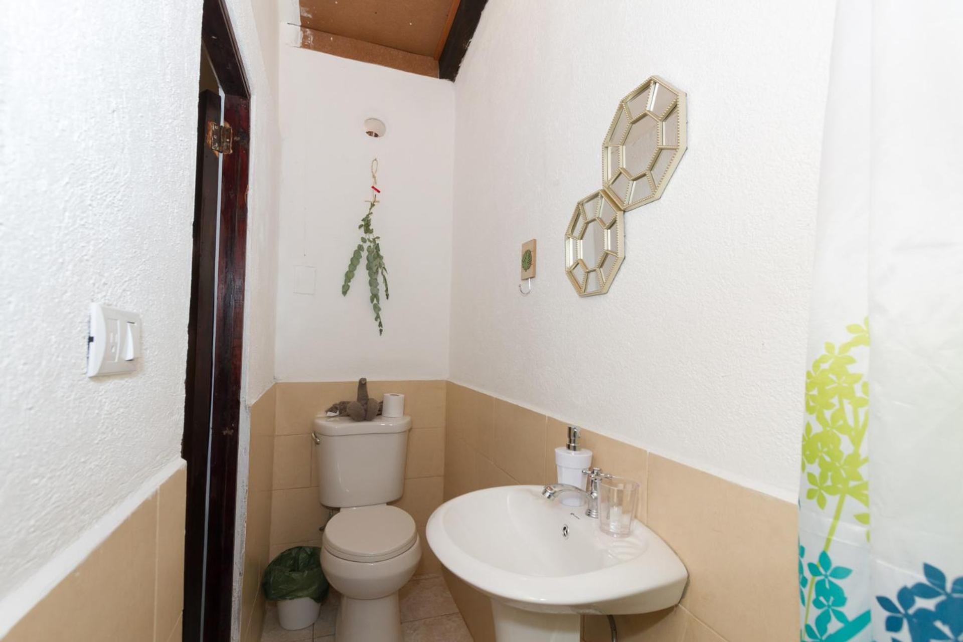 Photo 27