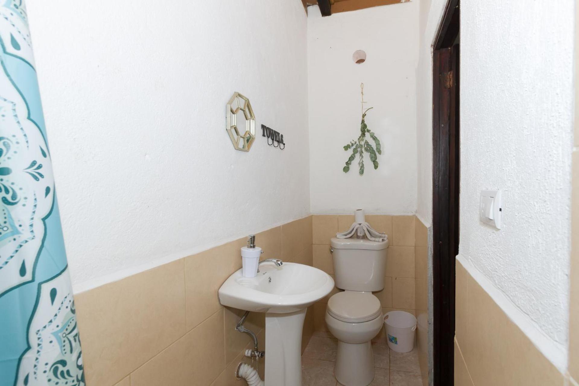 Photo 37