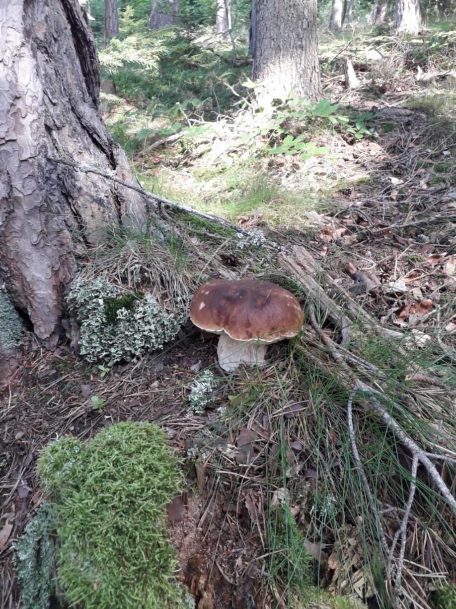 Photo 6