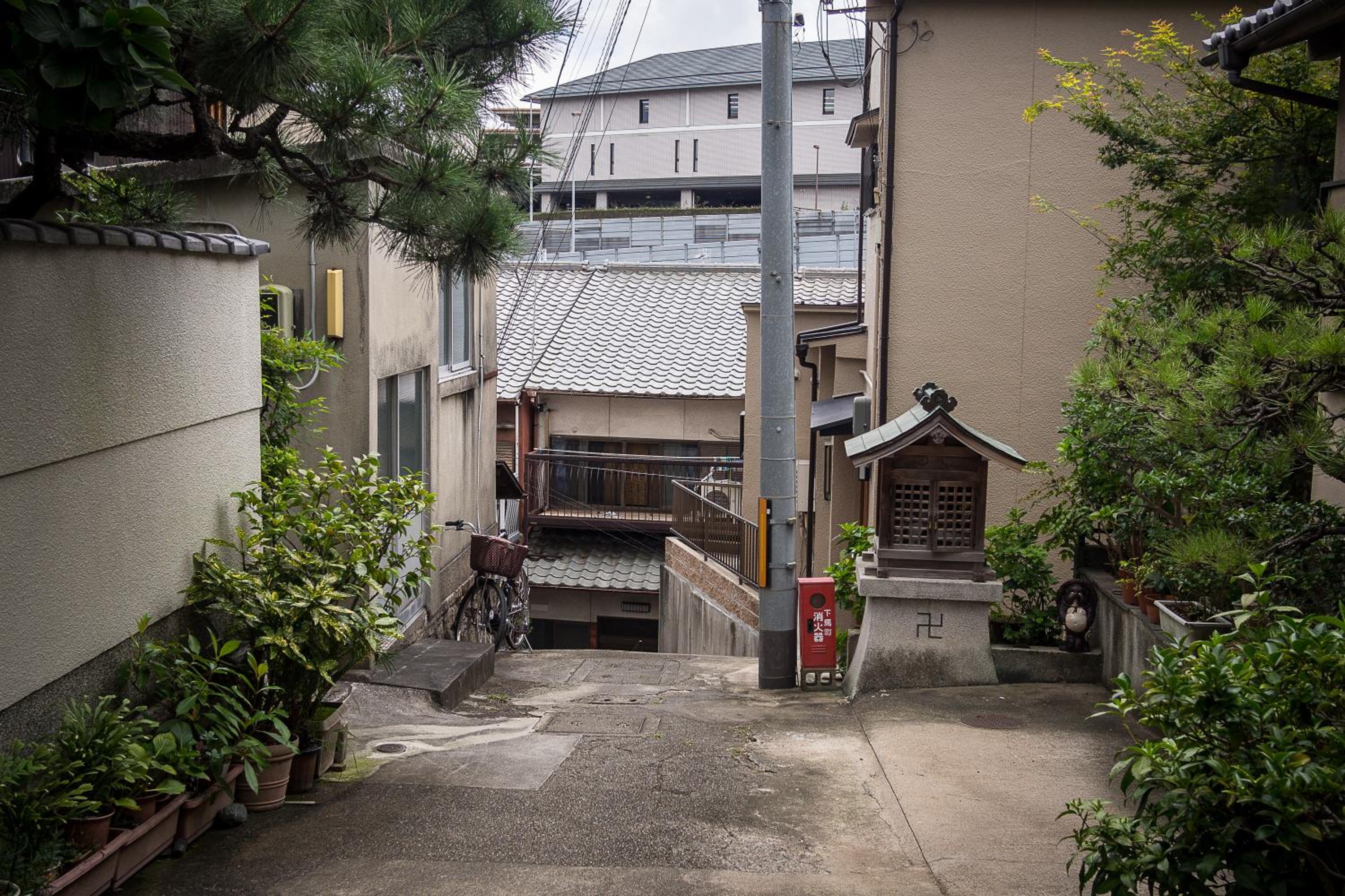 Photo 40