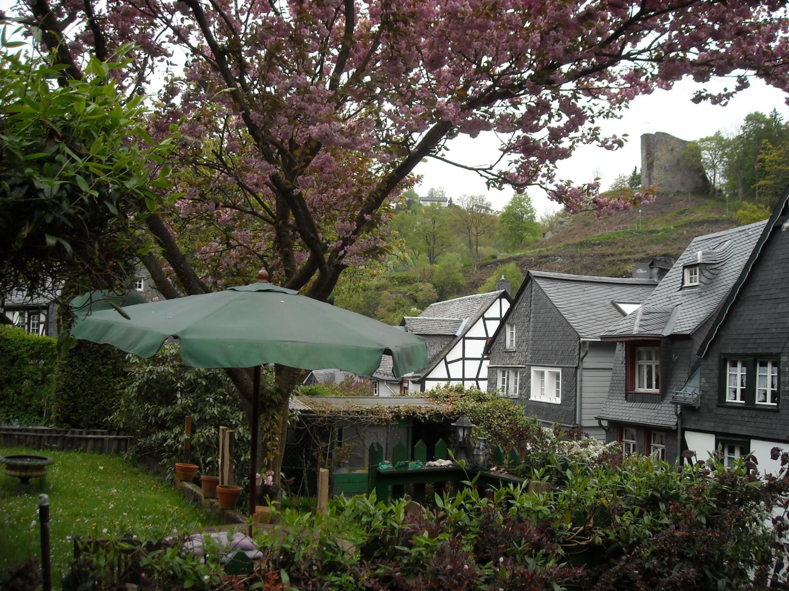 Hallerblick