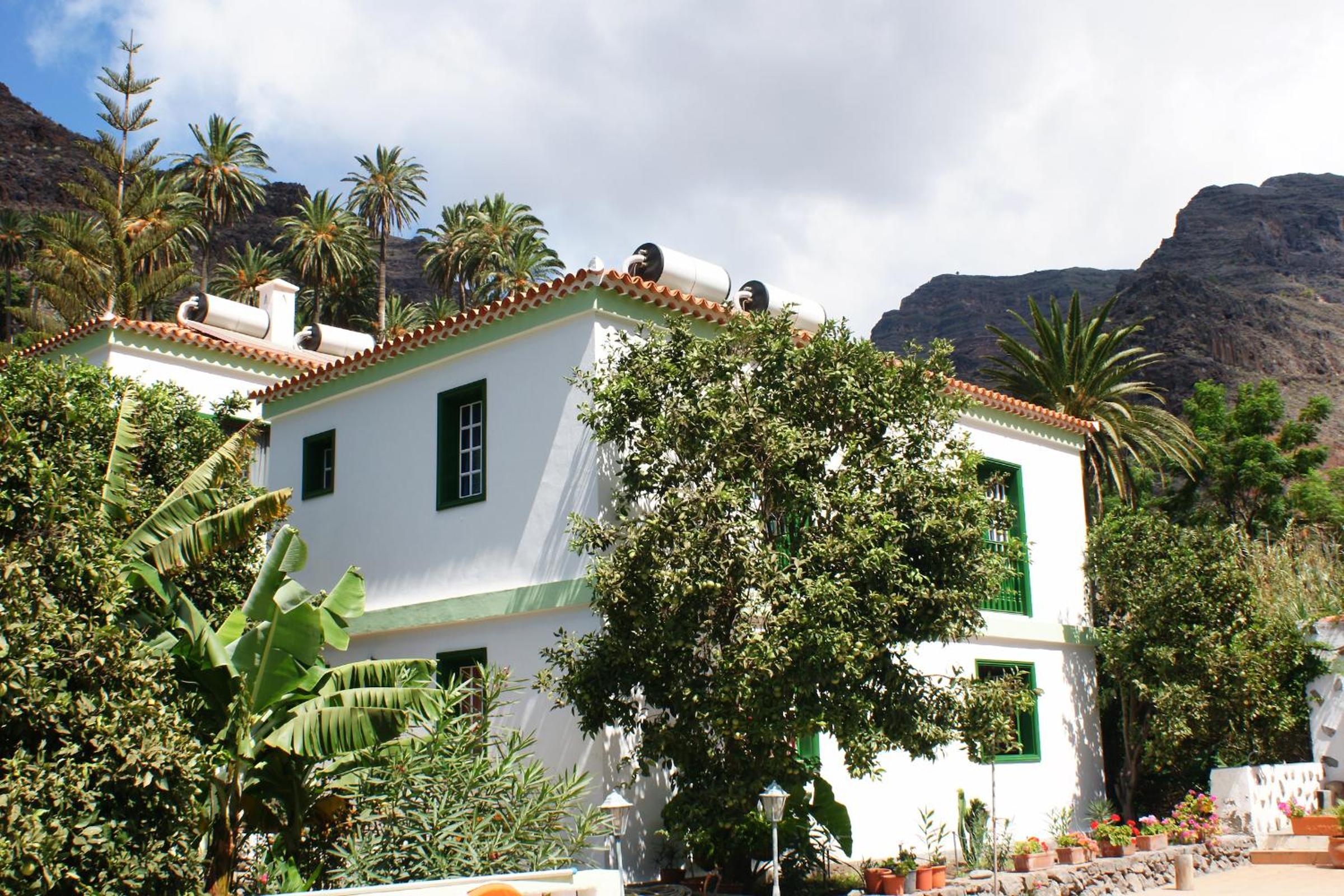 Photo 19