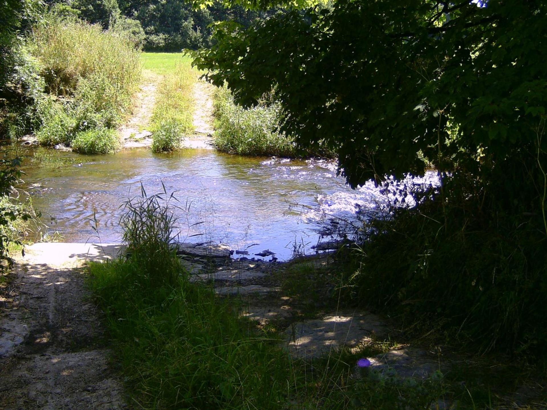 Photo 39