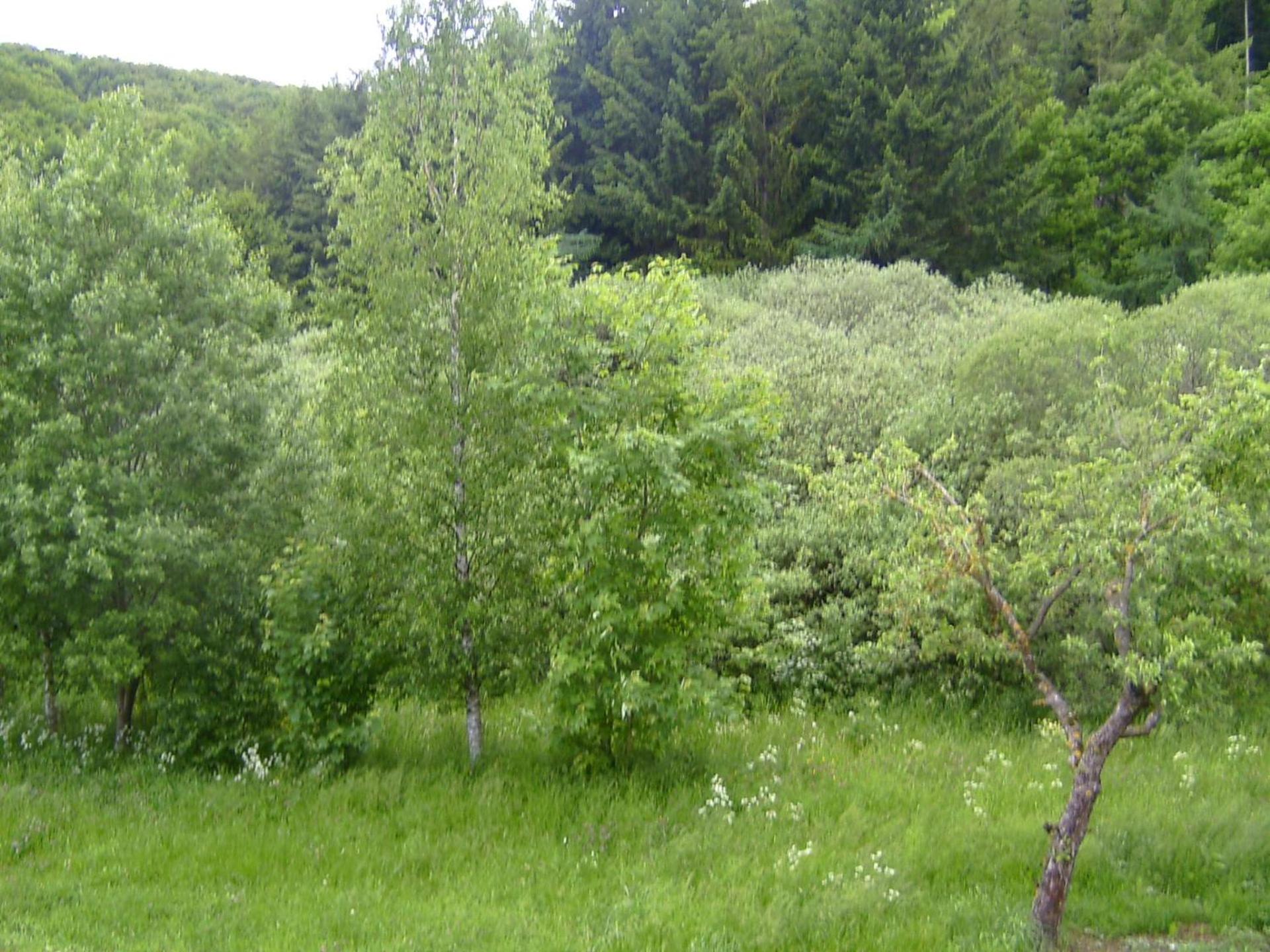 Suite Am Radweg view 3