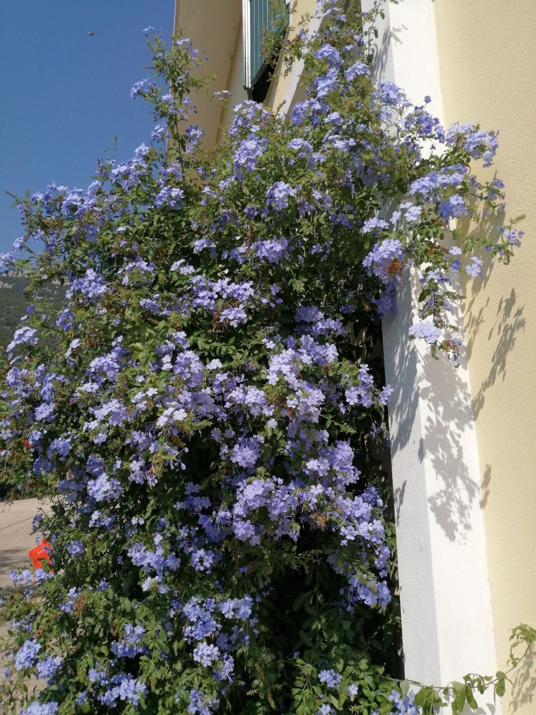 Locanda D'Ogliastra