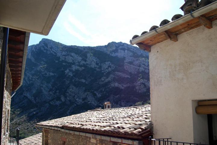 Photo 35