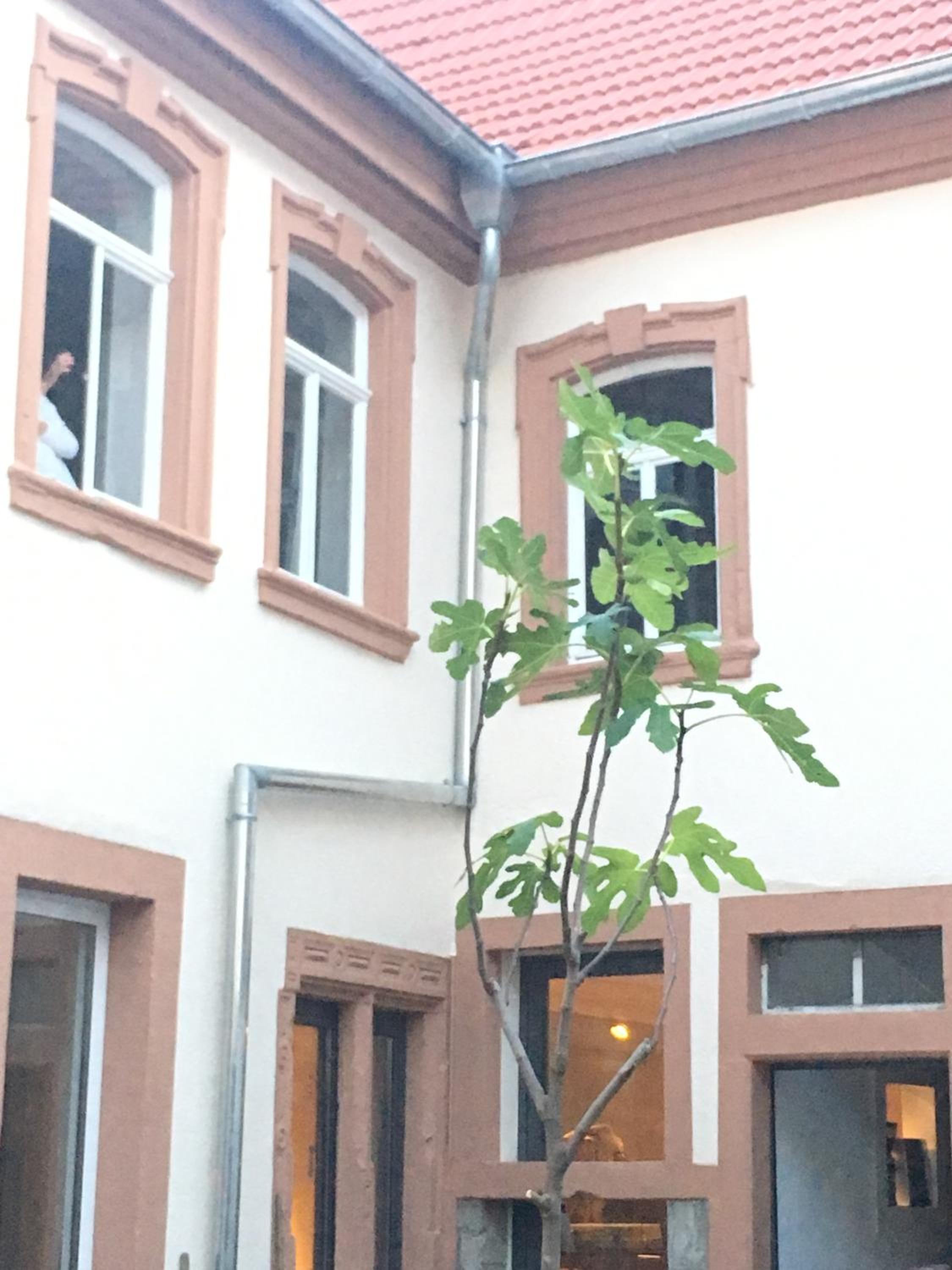 Boutique-Ferienwohnung im alten Weinhaus Moser