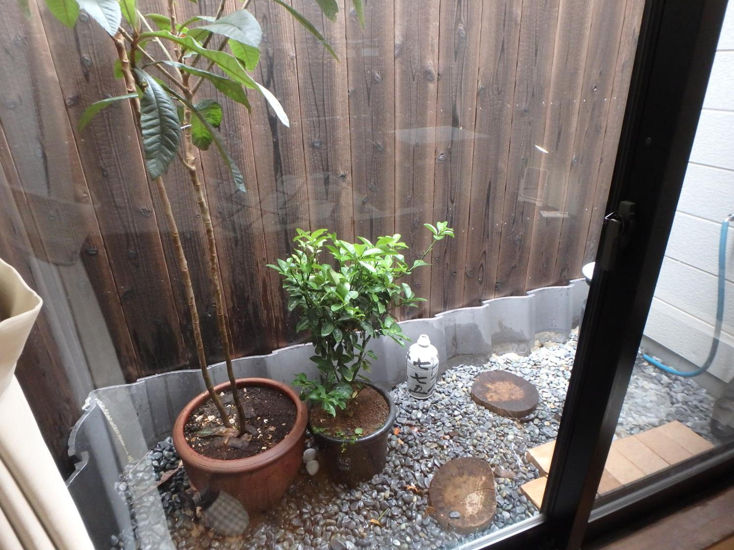 Photo 27