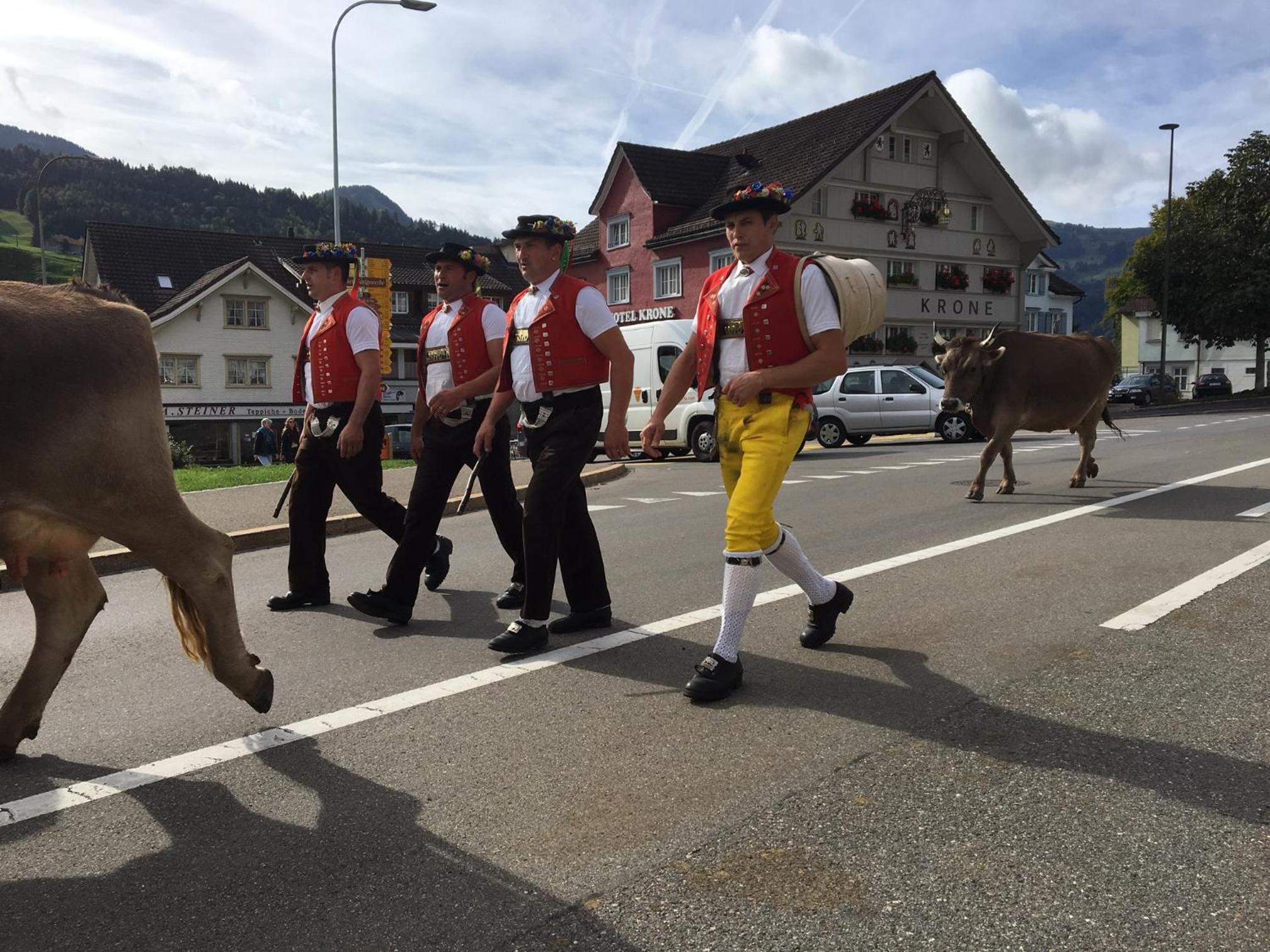 Appenzellerland - Ferienhaus 