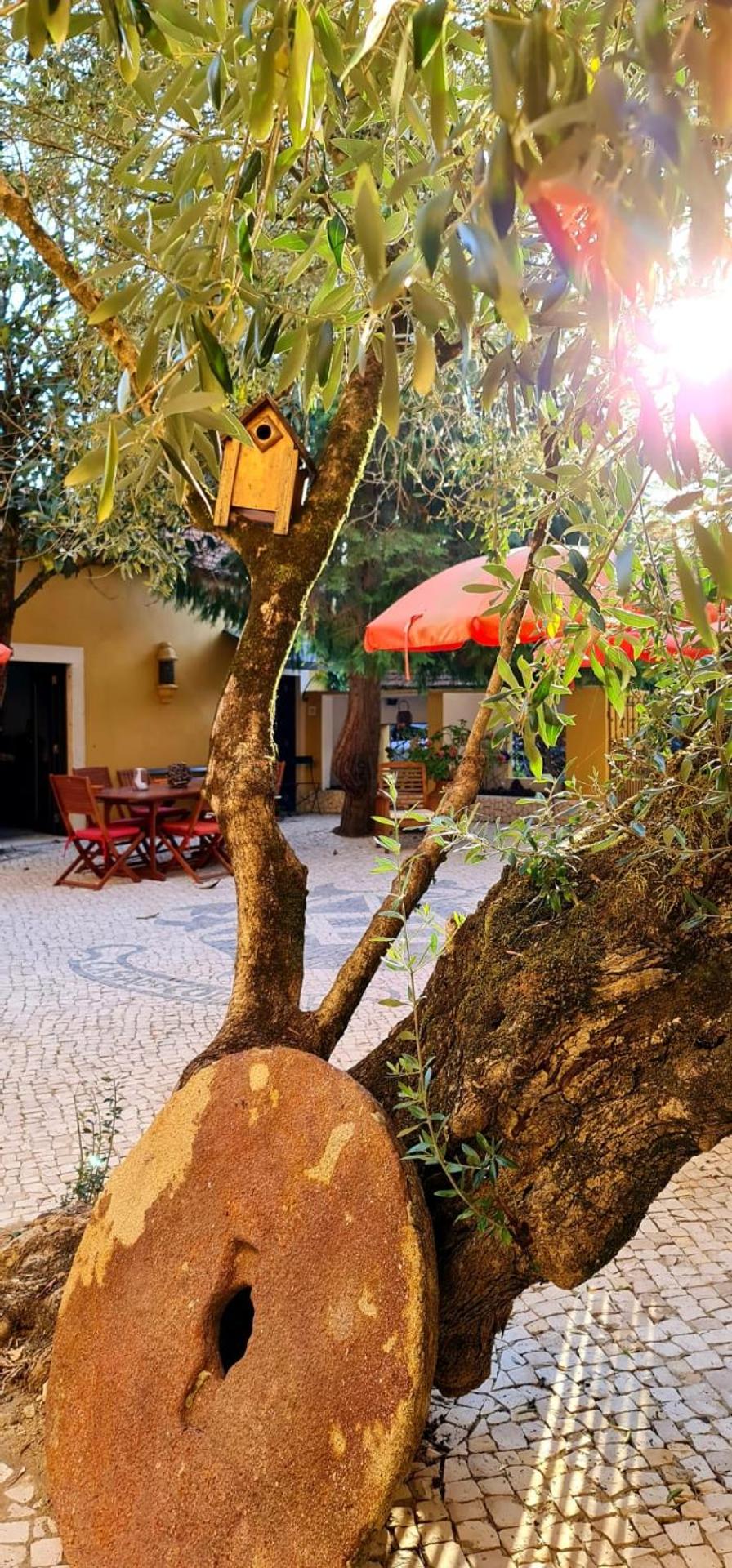 Casa De Campo Colmeal