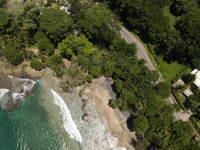 AroCocles (Irene)