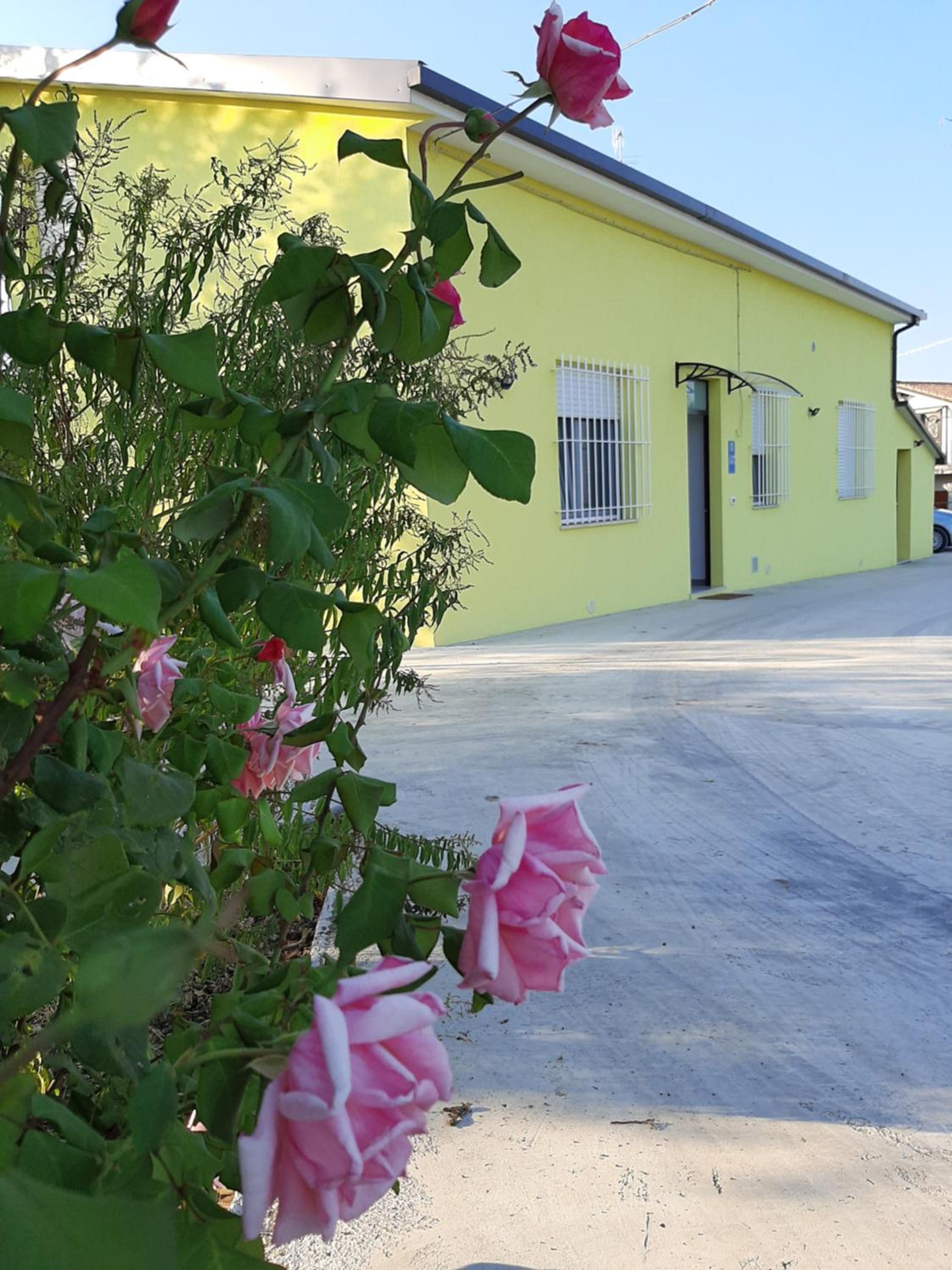 B&B La Casa di Paolo photo 2