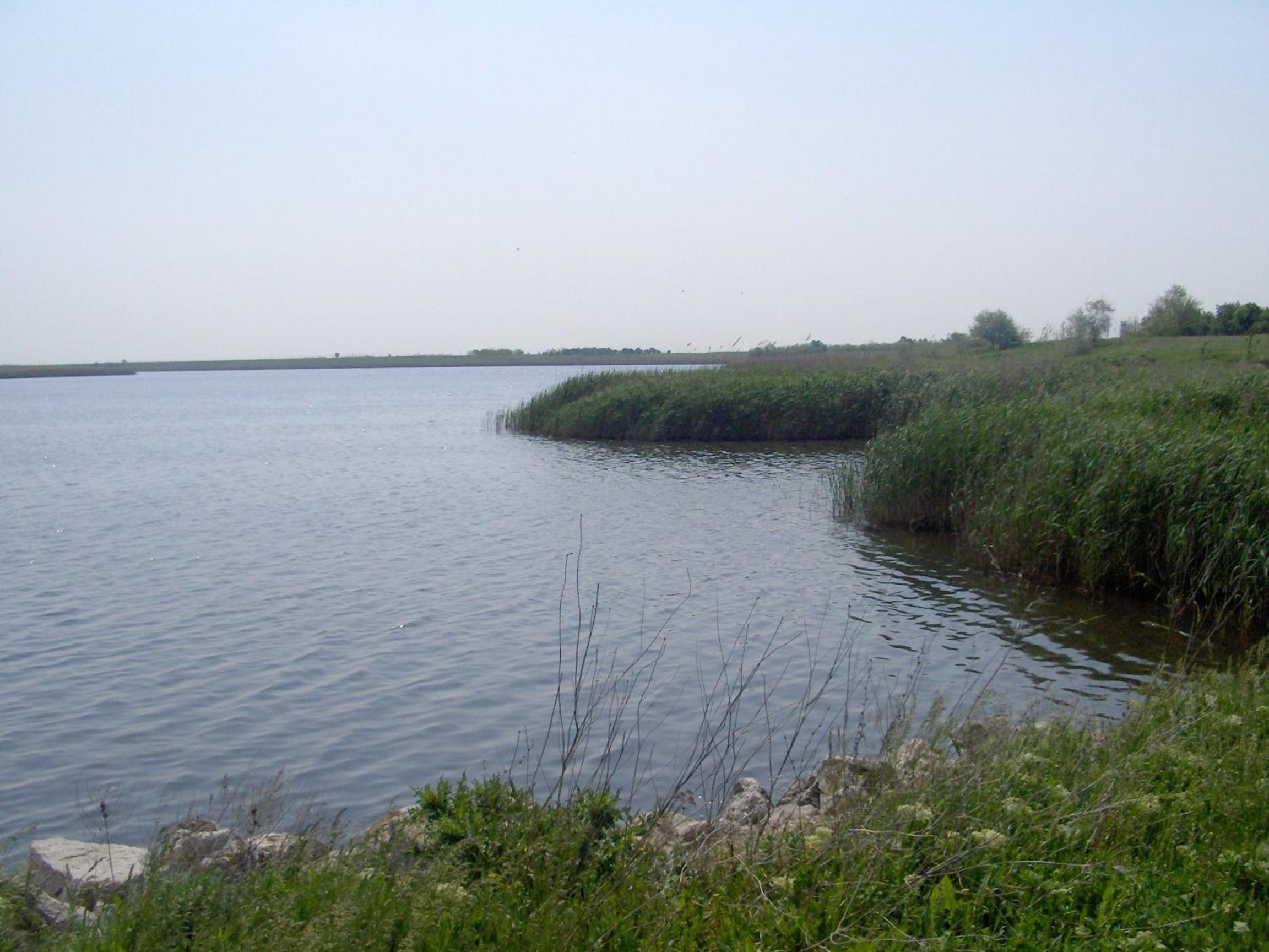 Photo 36