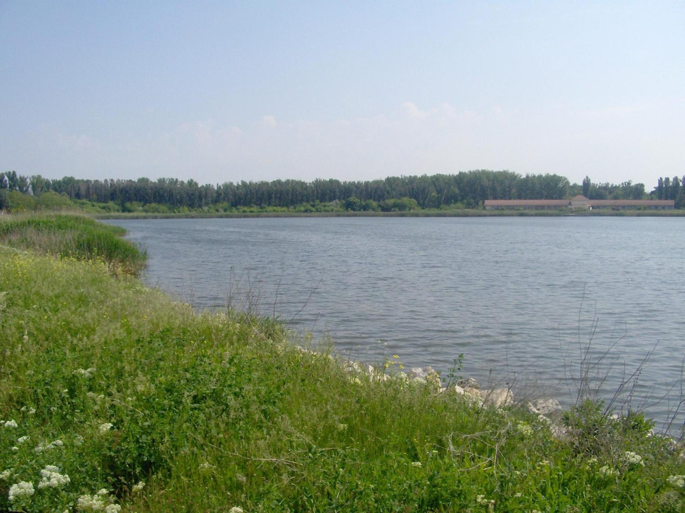 Photo 34