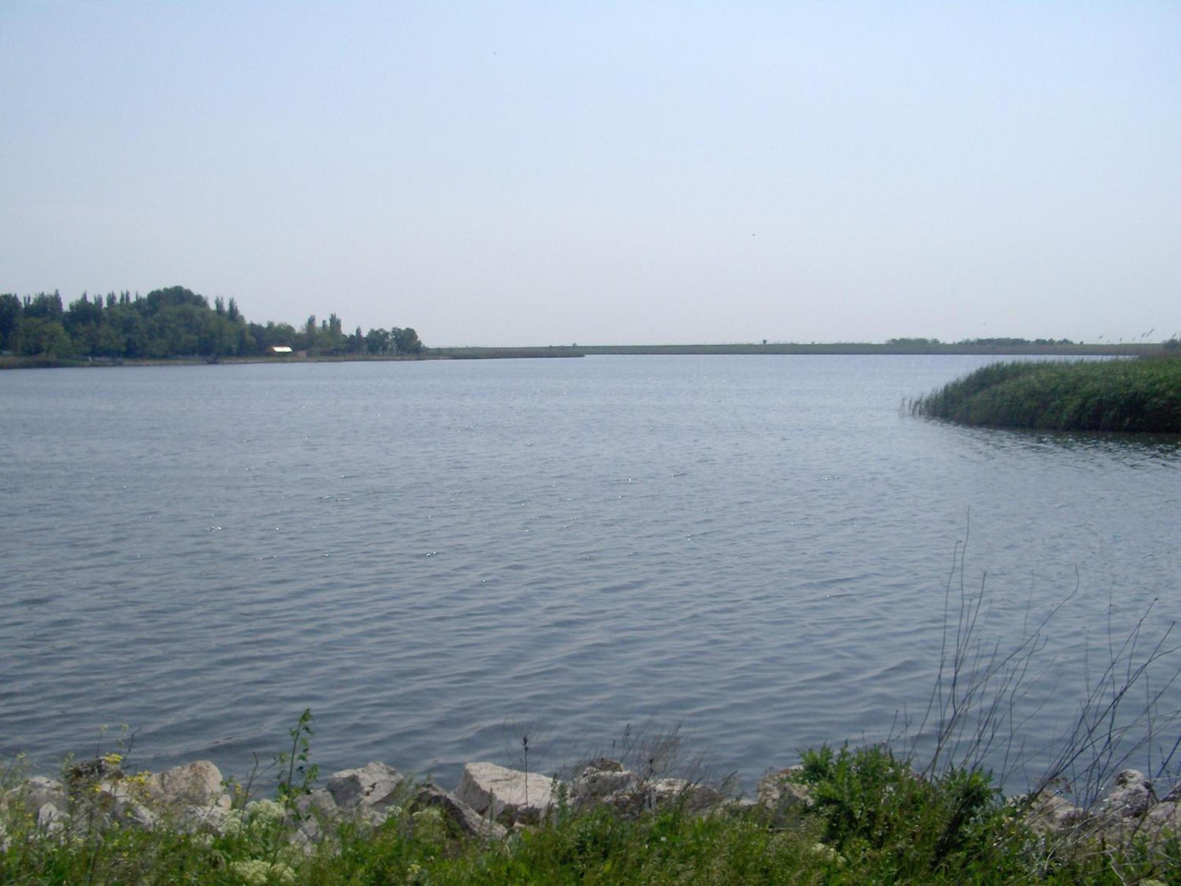 Photo 35