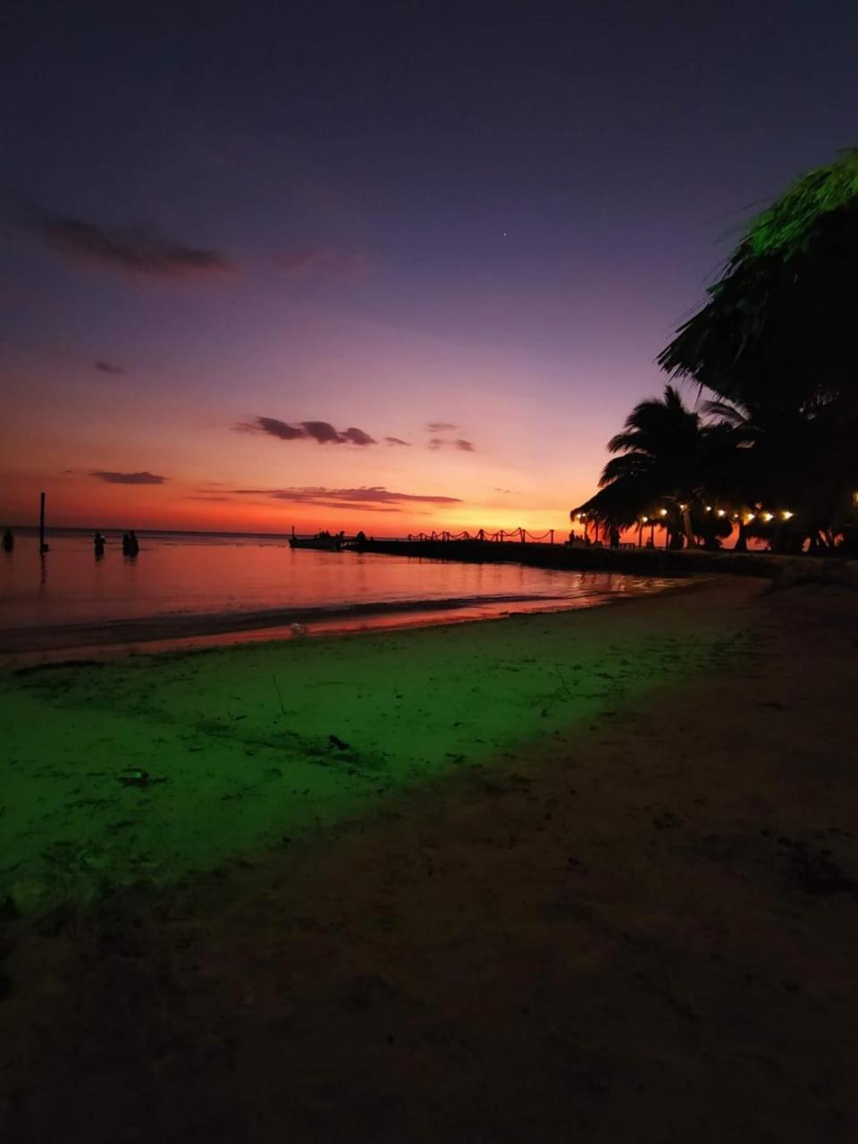 MISTICA Isla Palma