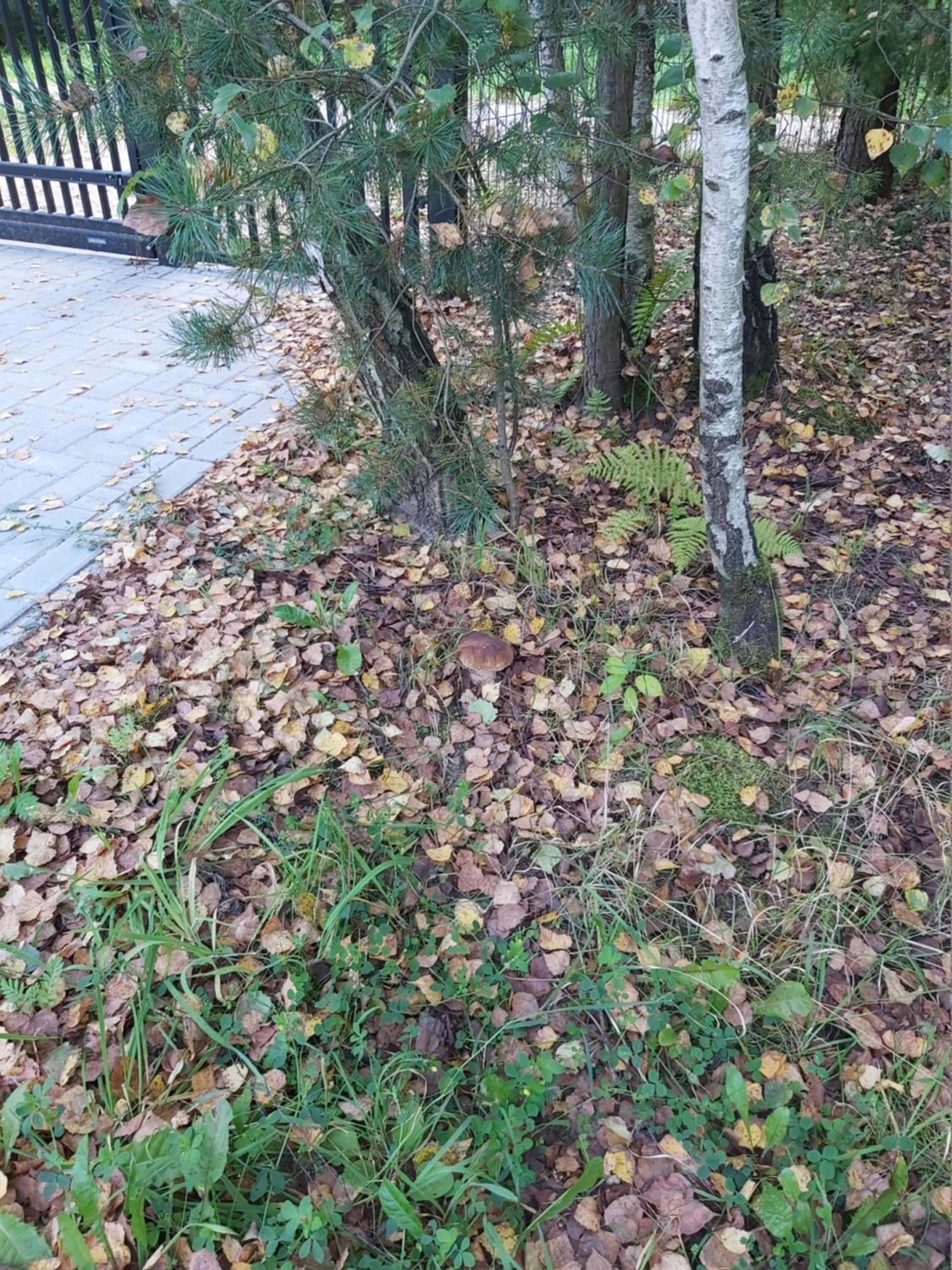 Photo 7