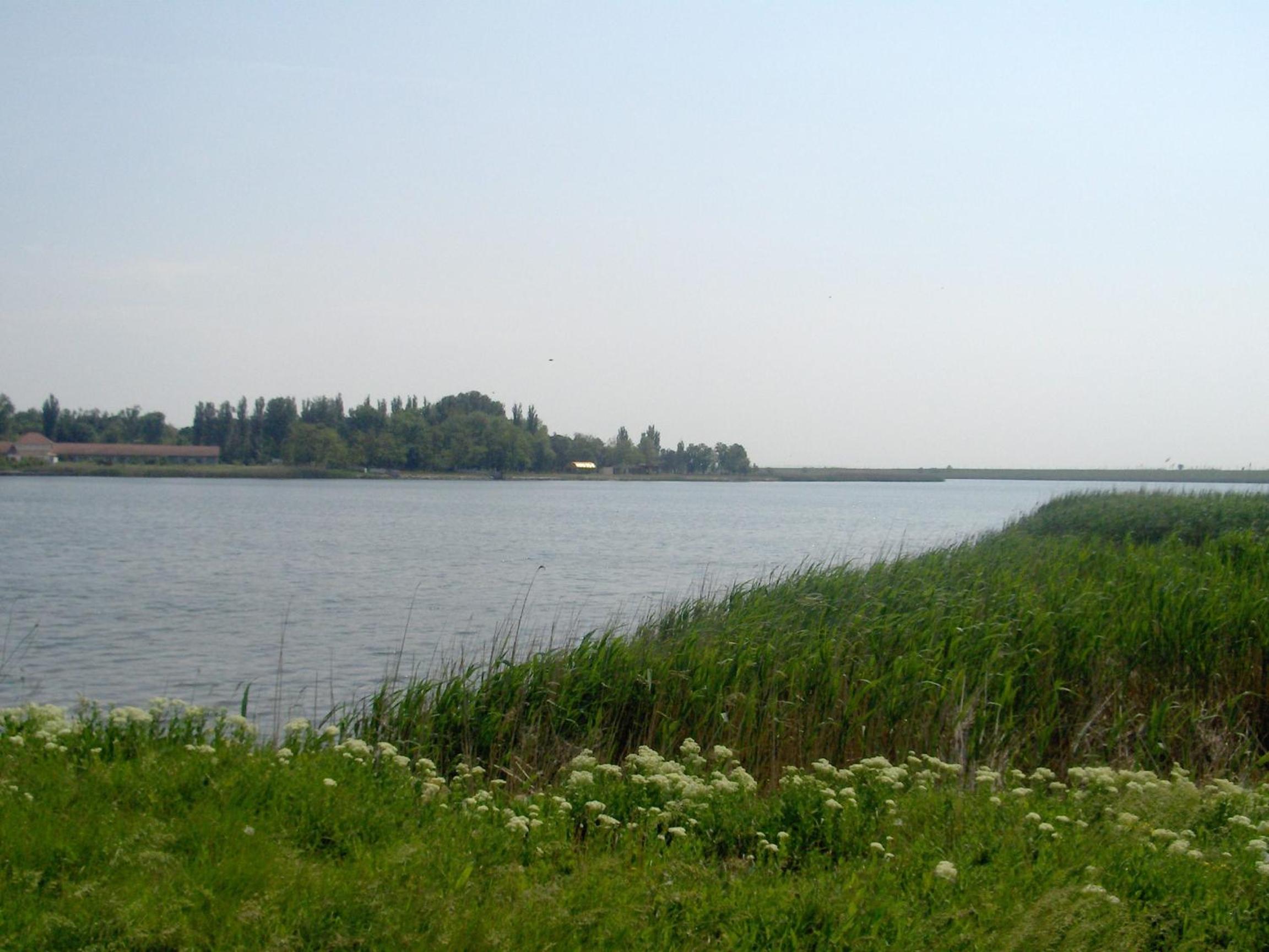 Photo 37