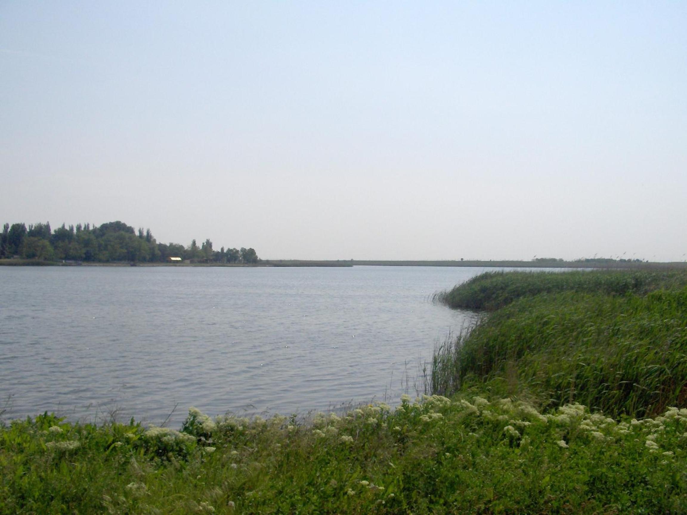 Photo 38