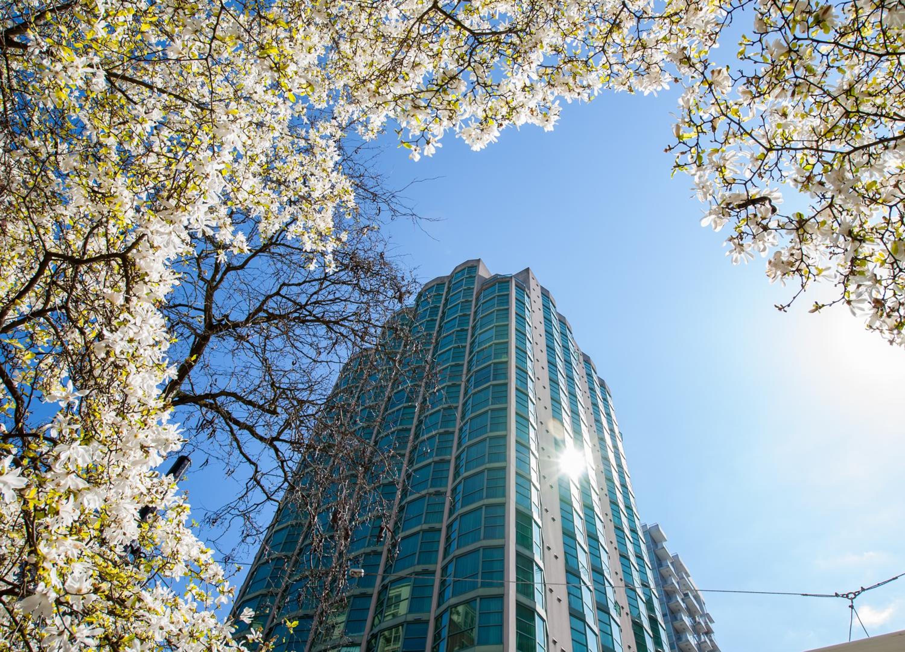 Rosedale on Robson Suite Hotel-0
