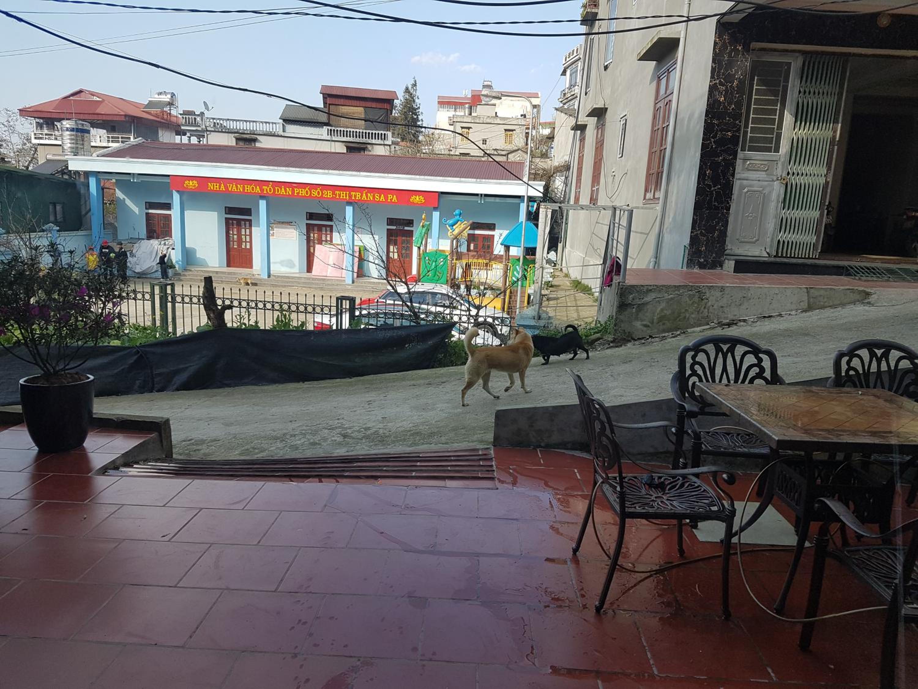 Sapa Peaceful Hotel