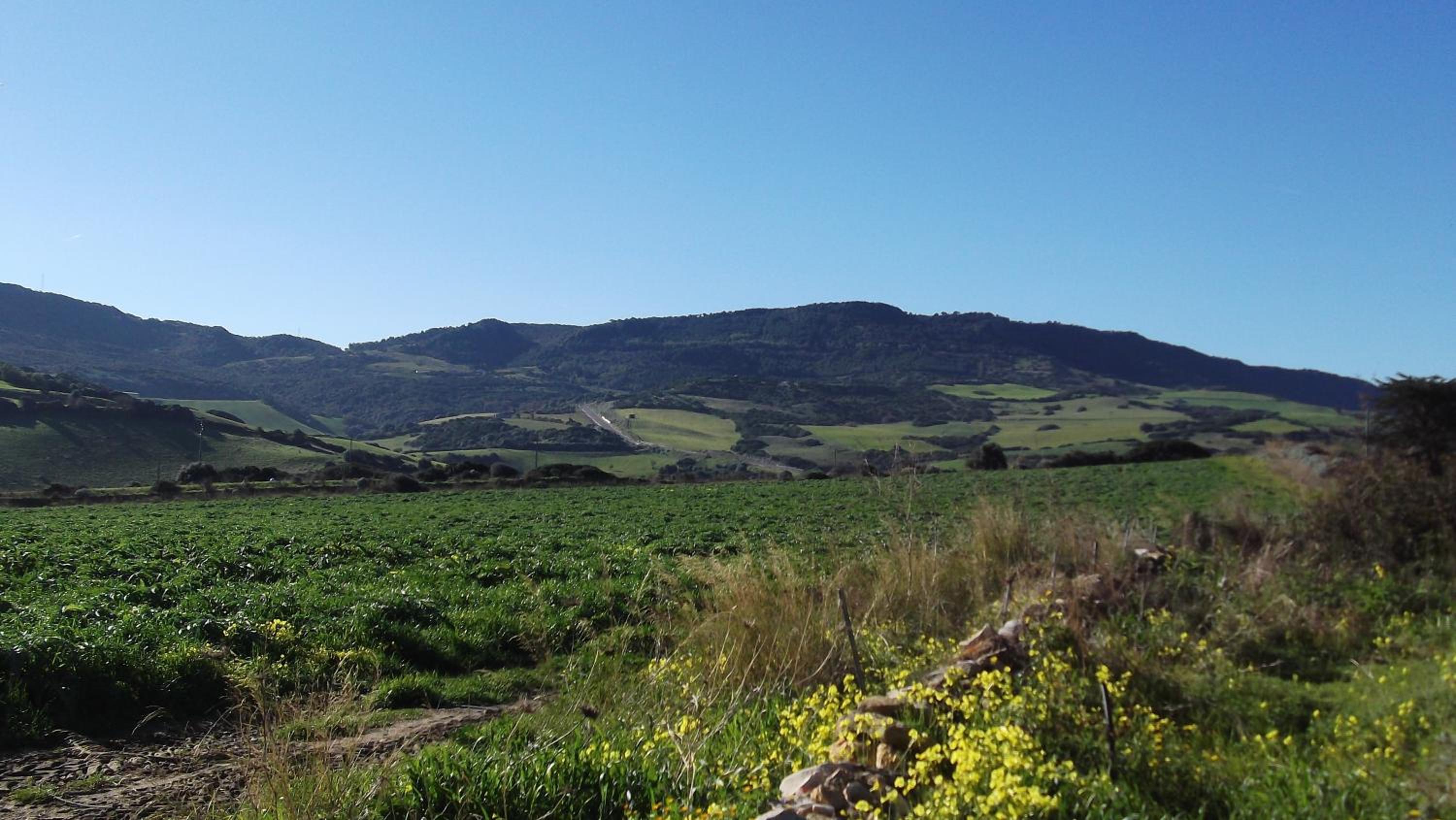 Residenza I Gabbiani Valledoria