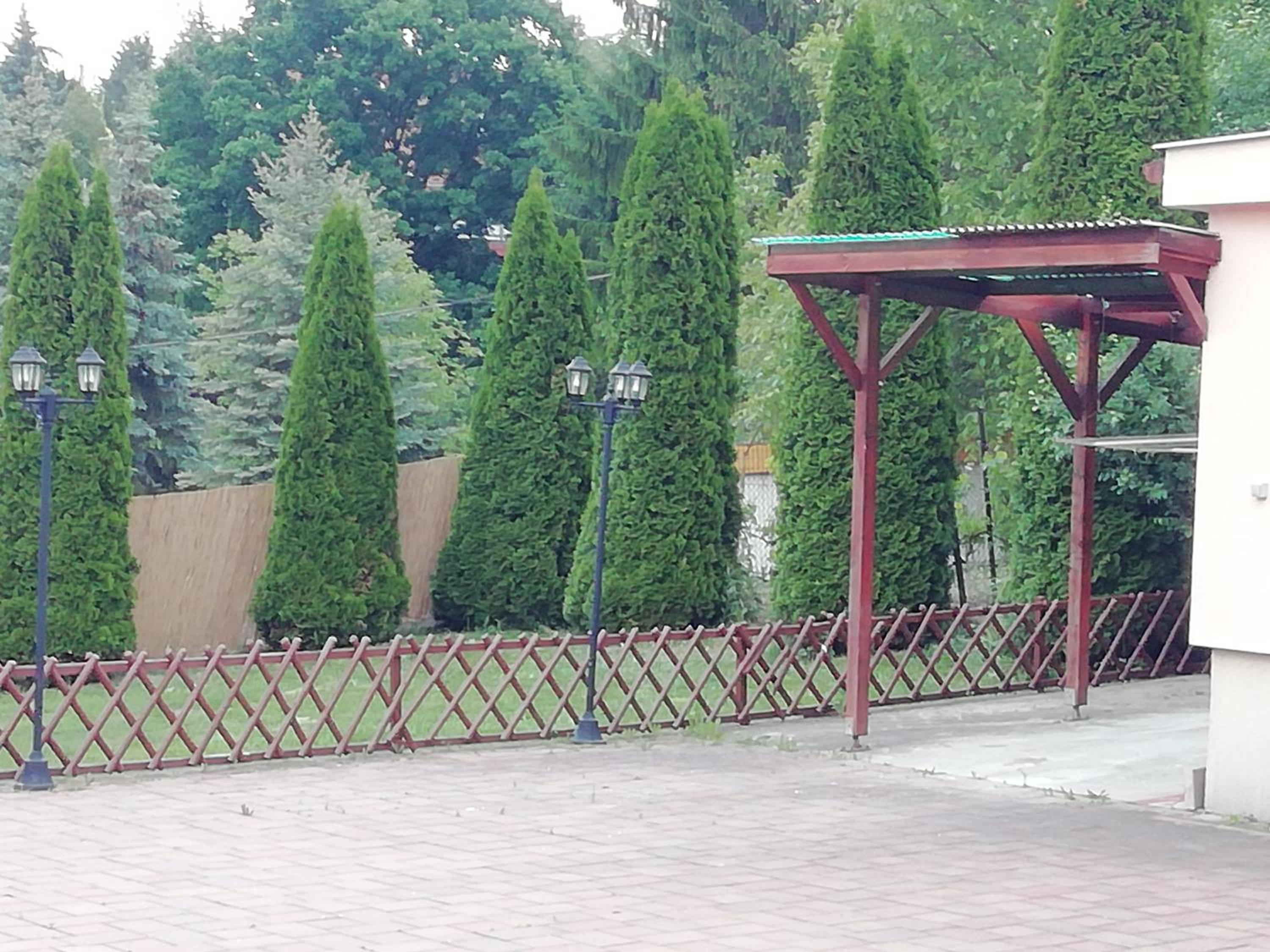 Photo 11