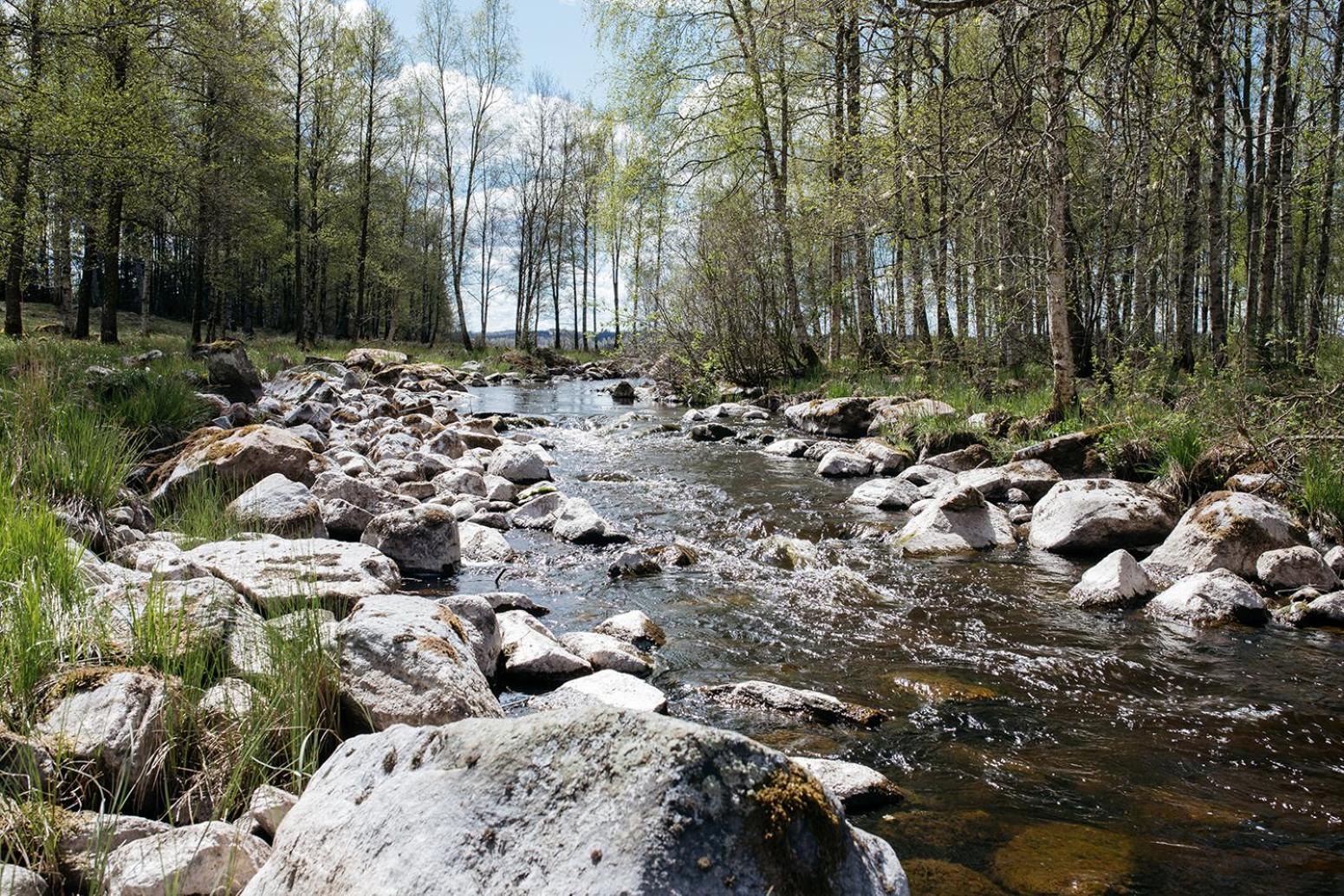 Vandrarhemmet Årås Säteri och Trädgårdar