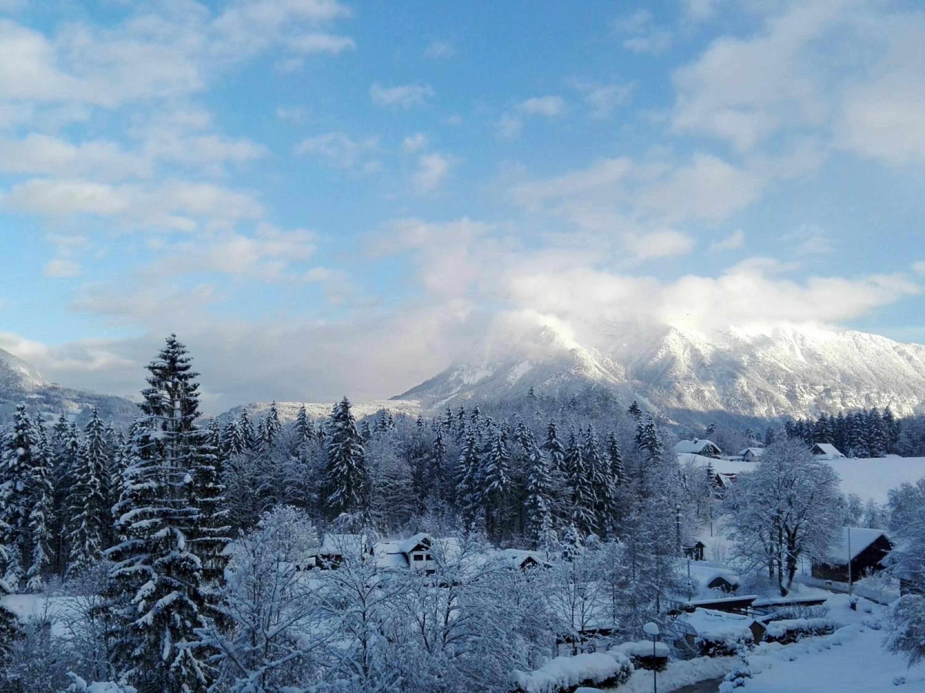 Alpenblick Suite