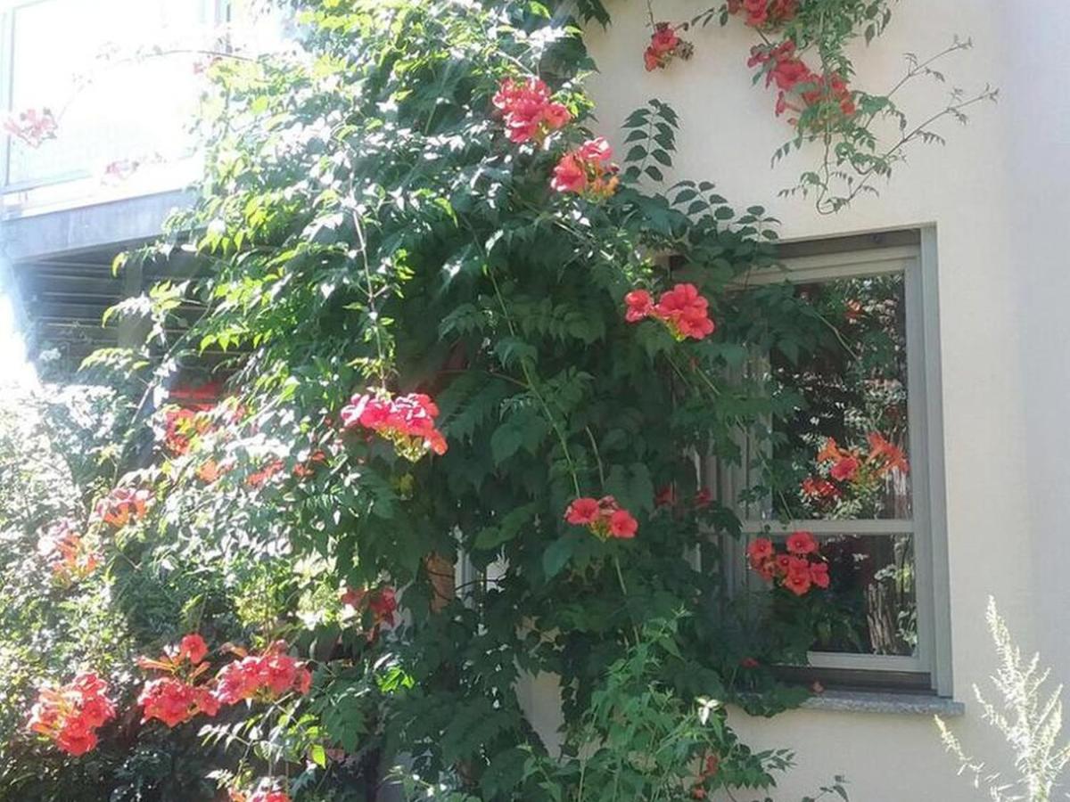 Ferienwohnung Ingeborg Schmitz view 3