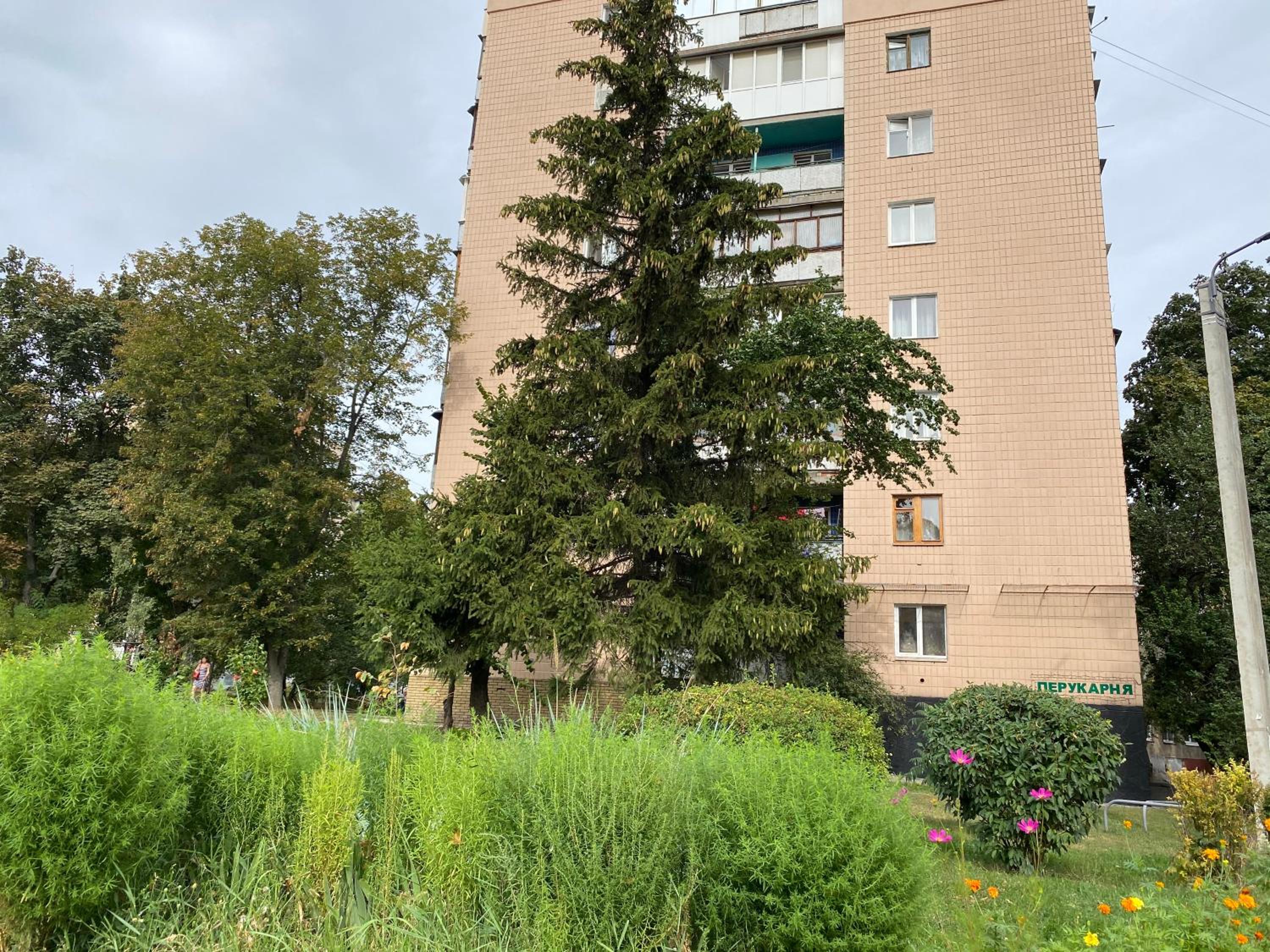 Photo 14