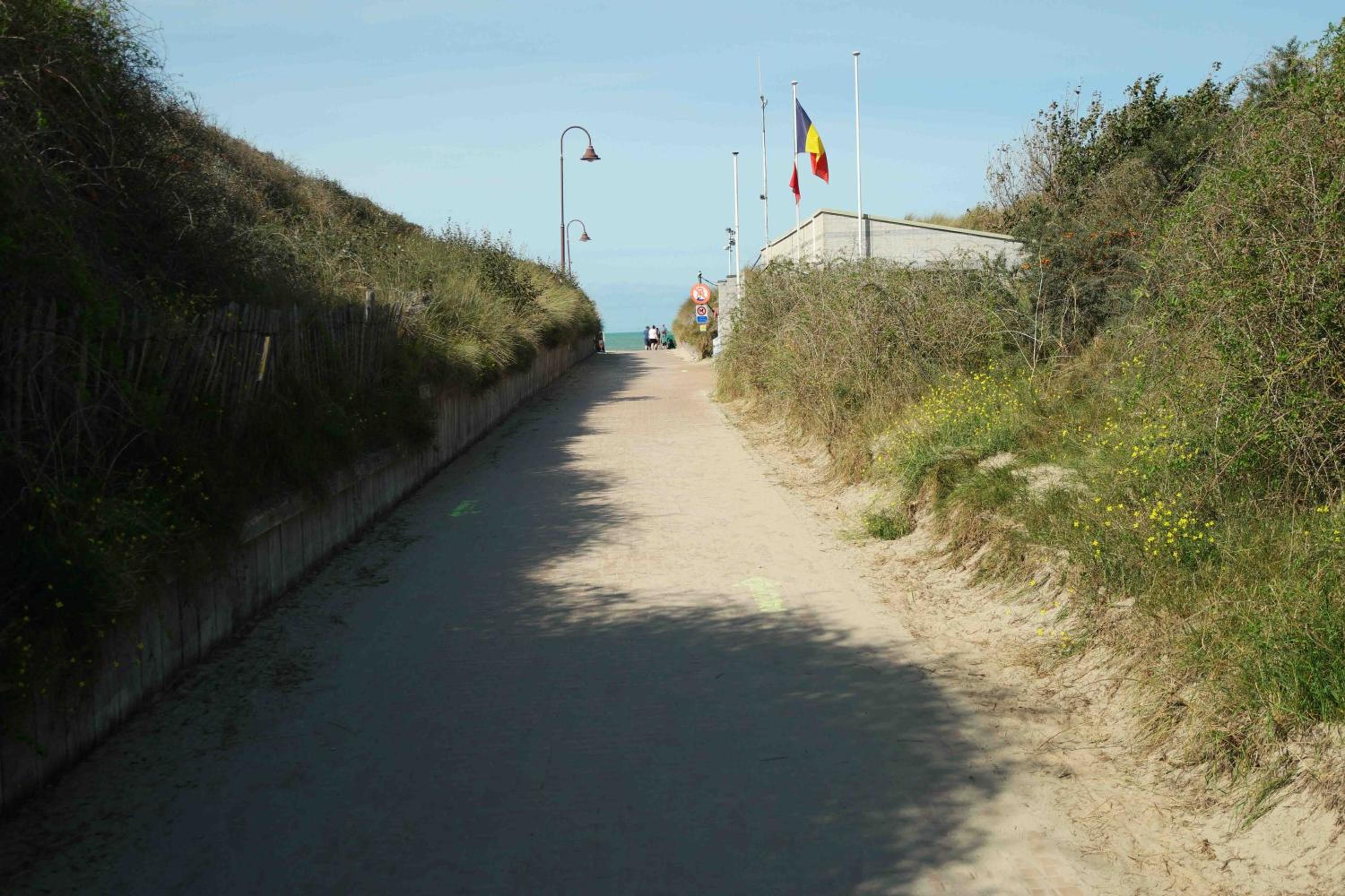 Photo 22