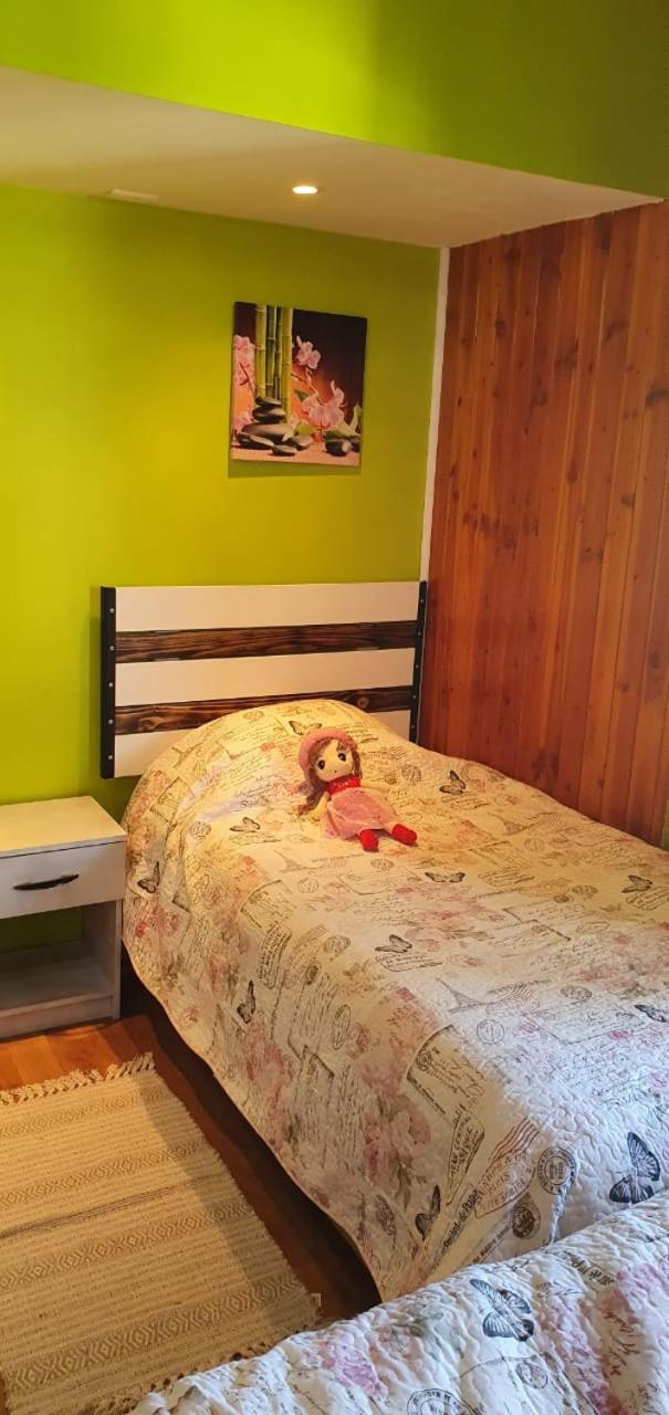 Brisas del Lago Pucon