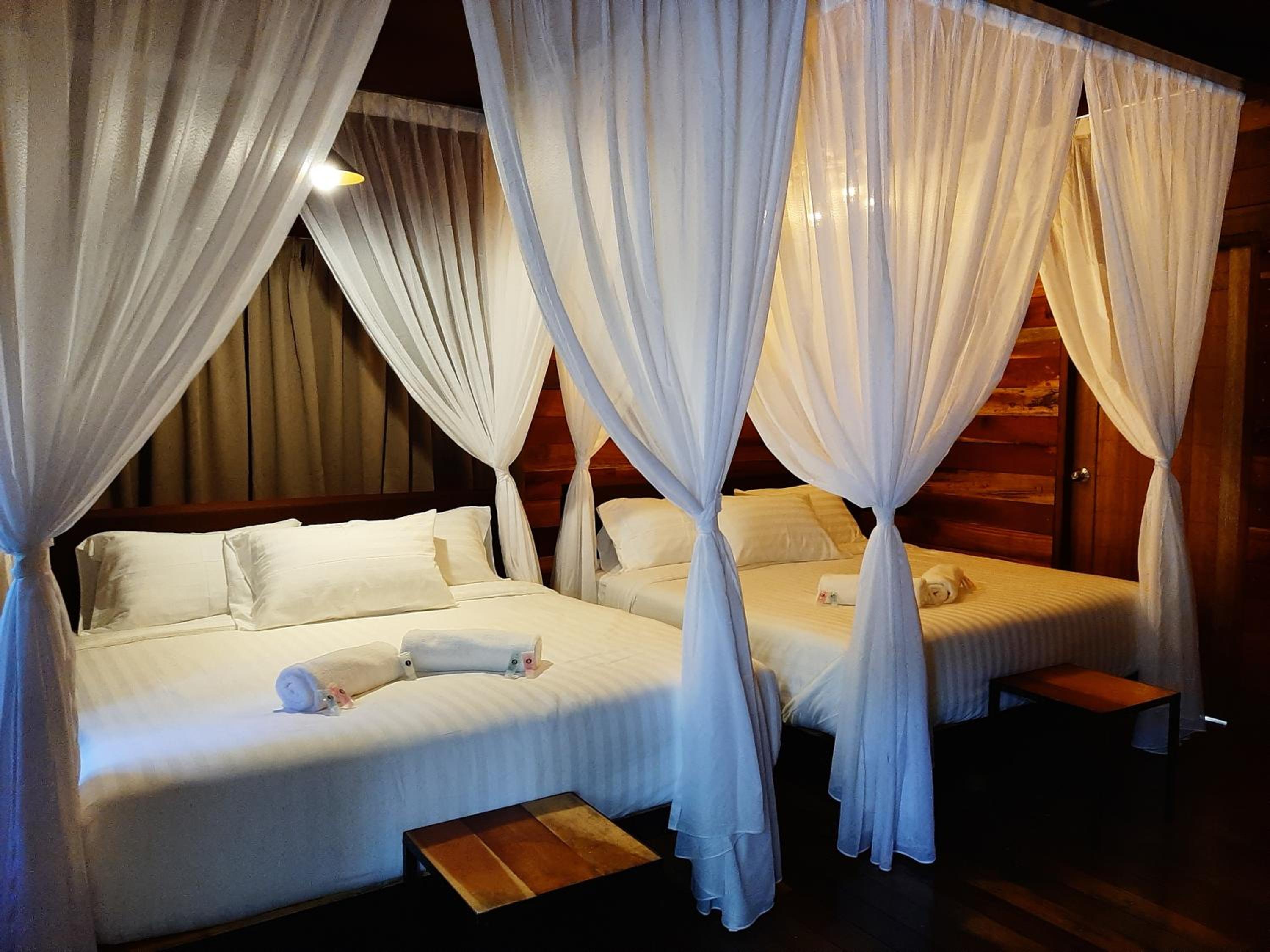 Utan Teluk Nipah photo 8