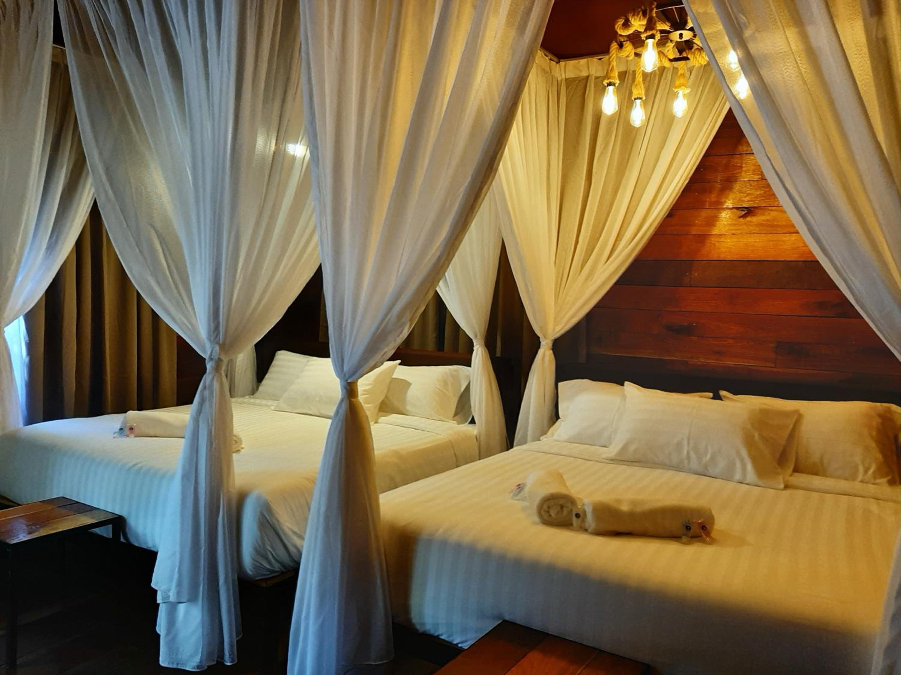 Utan Teluk Nipah photo 7