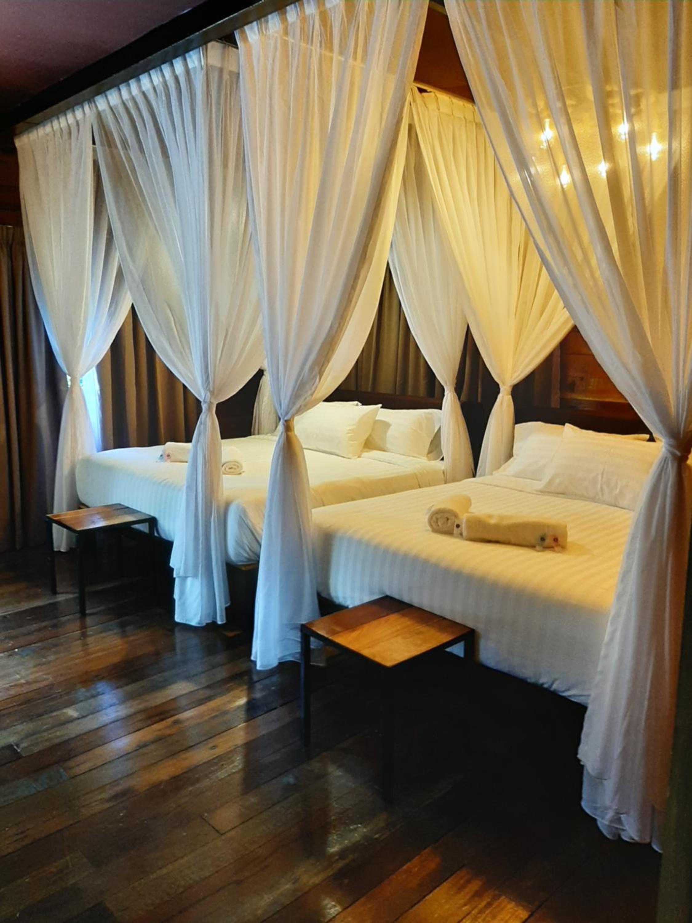 Utan Teluk Nipah photo 6