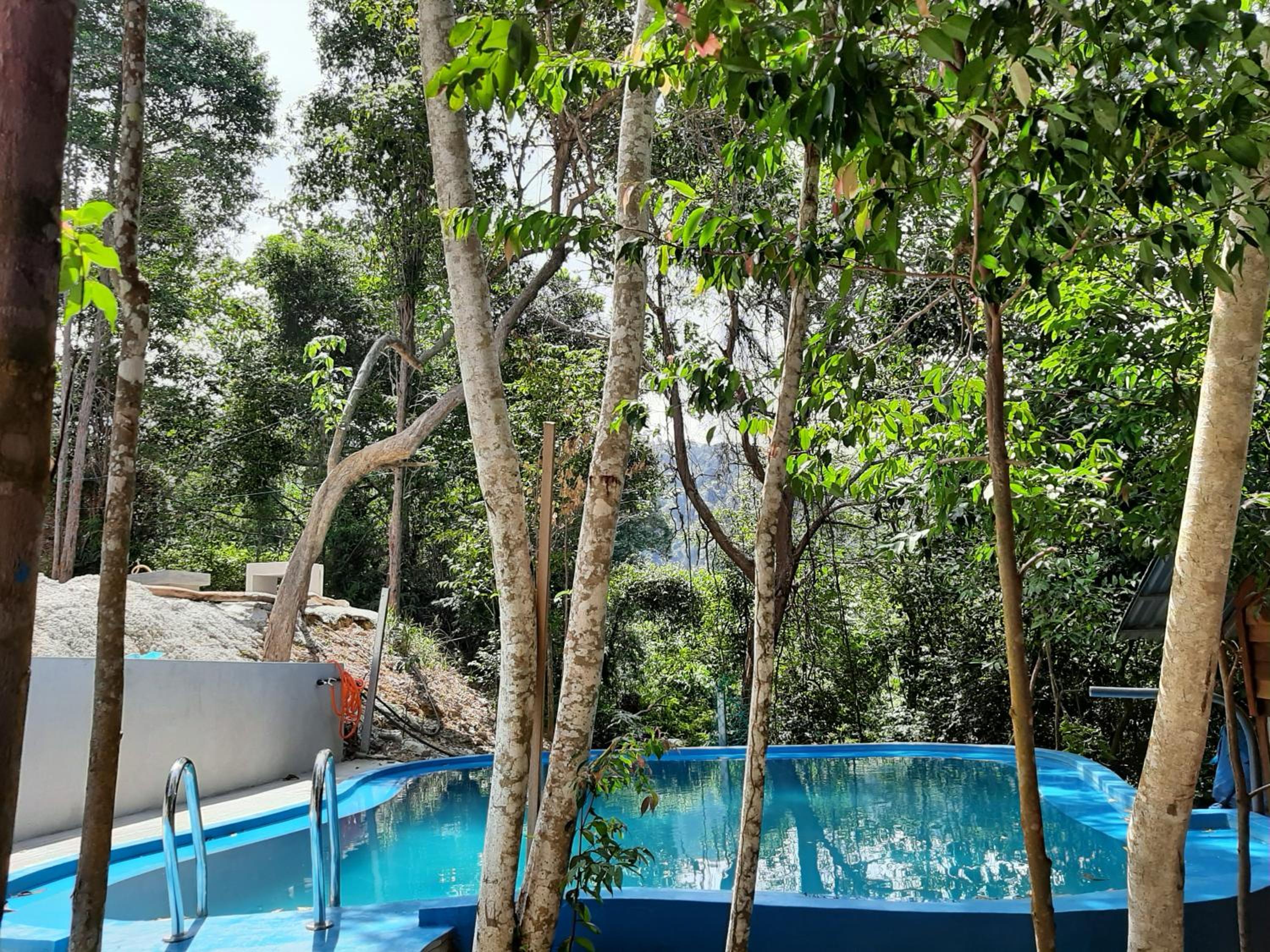 Utan Teluk Nipah photo 3