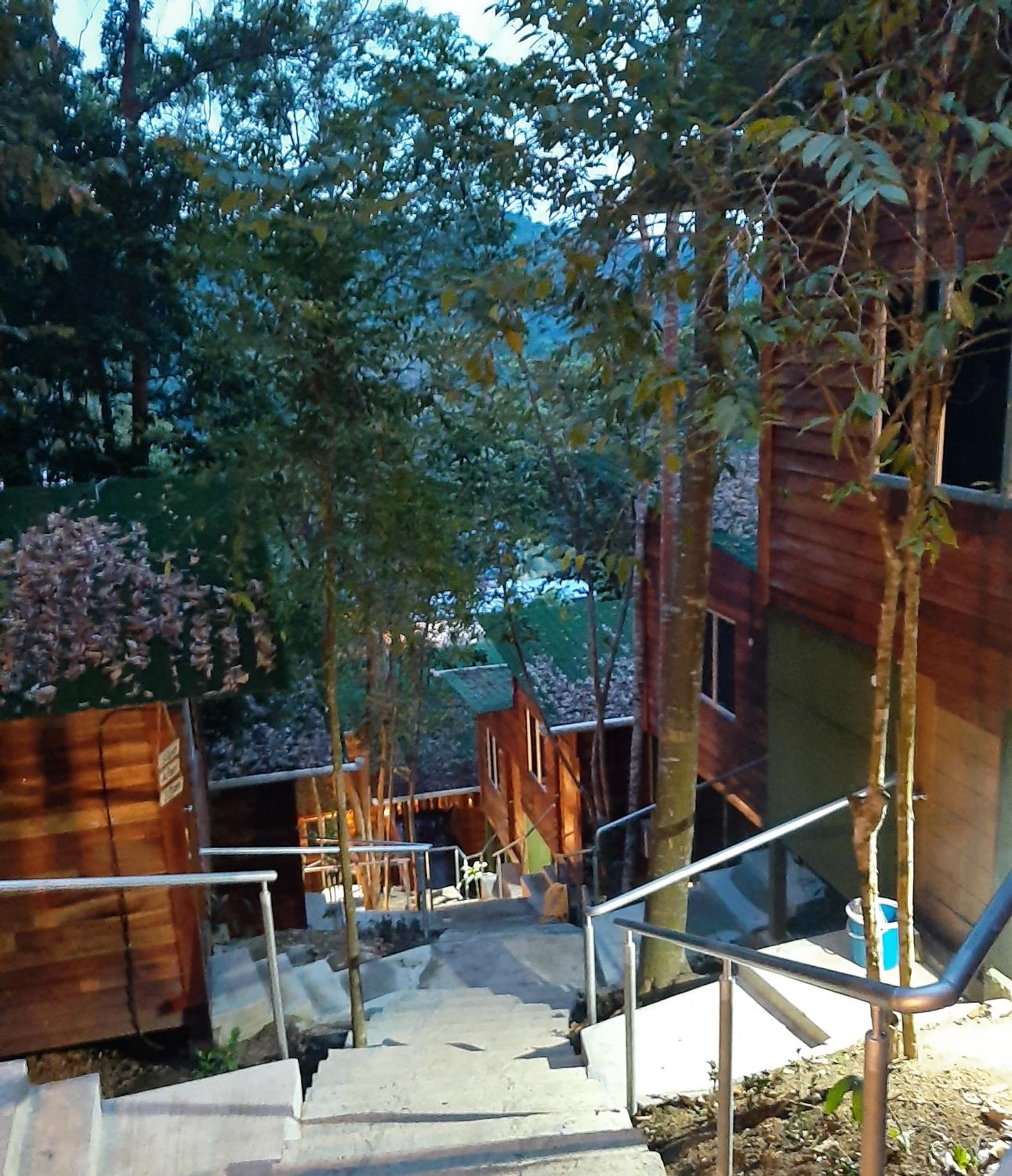 Photo 21