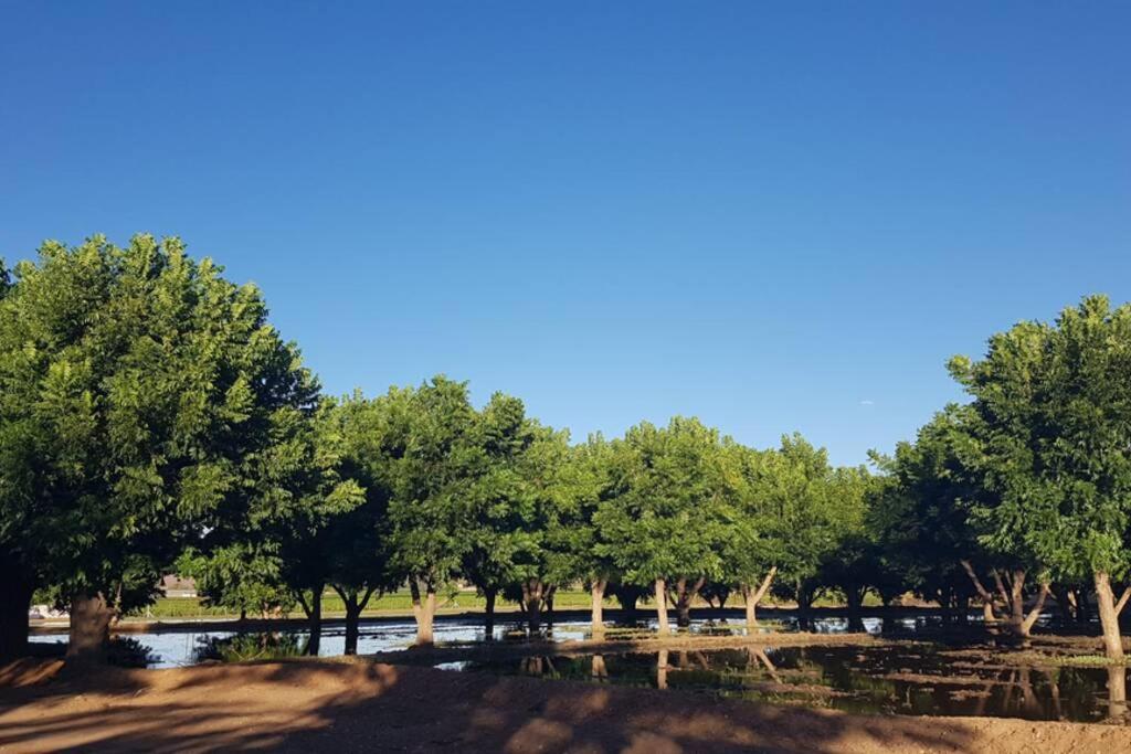 Gazelle Estate view 4