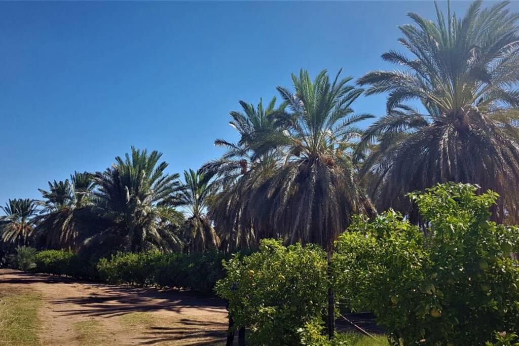 Gazelle Estate view 3