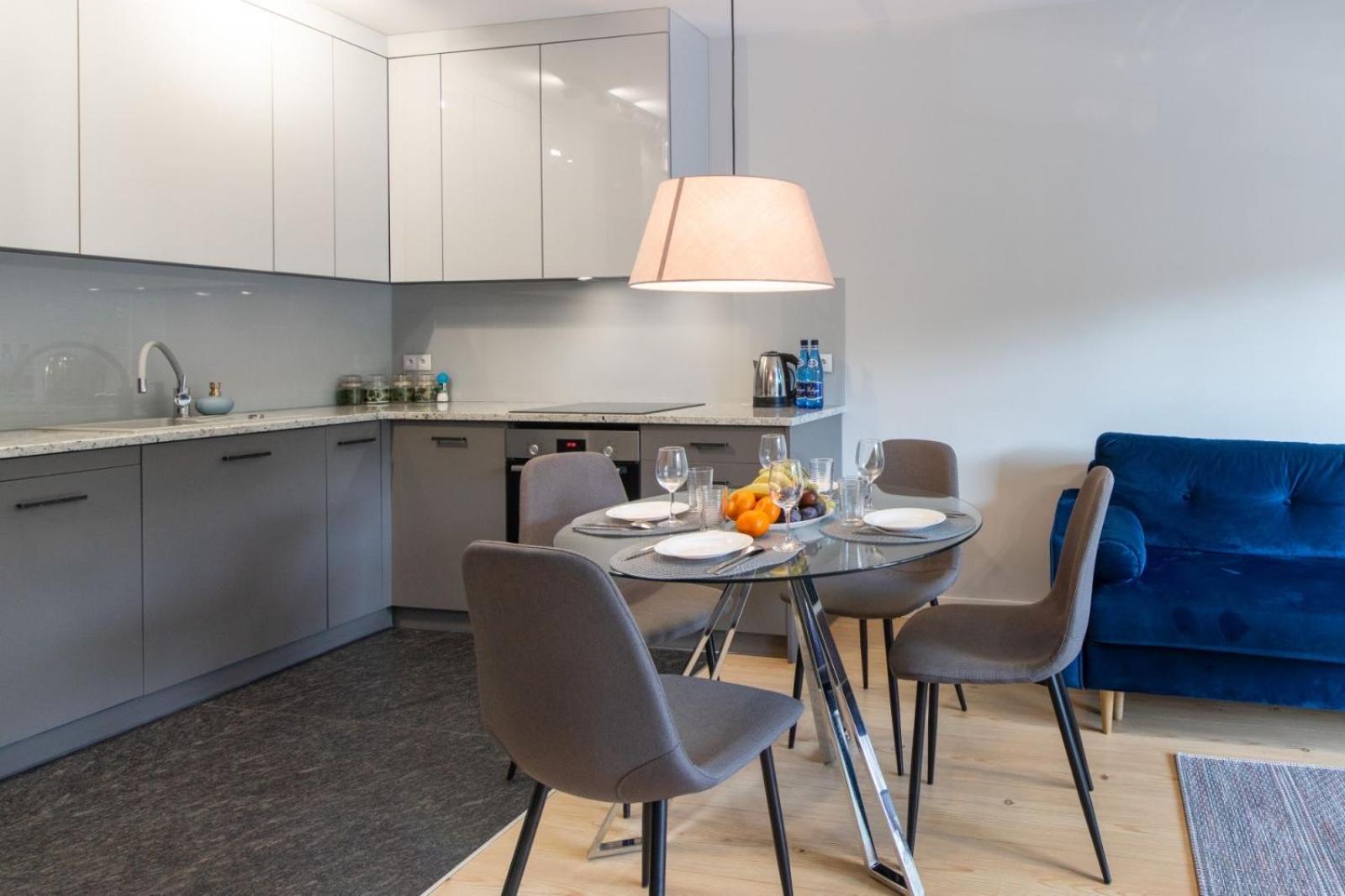 Apartament Koncertowy view 5