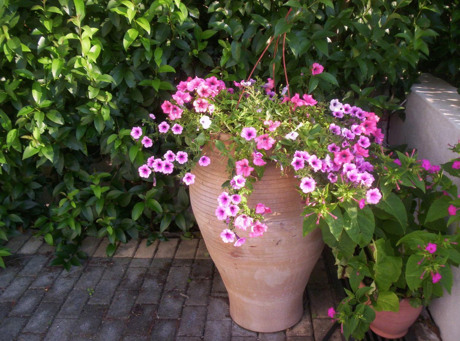 Photo 42