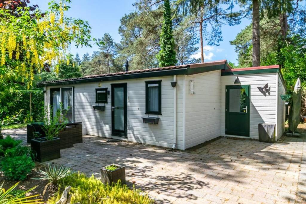 Chalet "de Hazelnoot" te Diever view 3