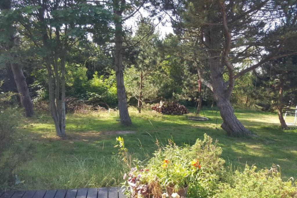 Panoramic seaview from cottage