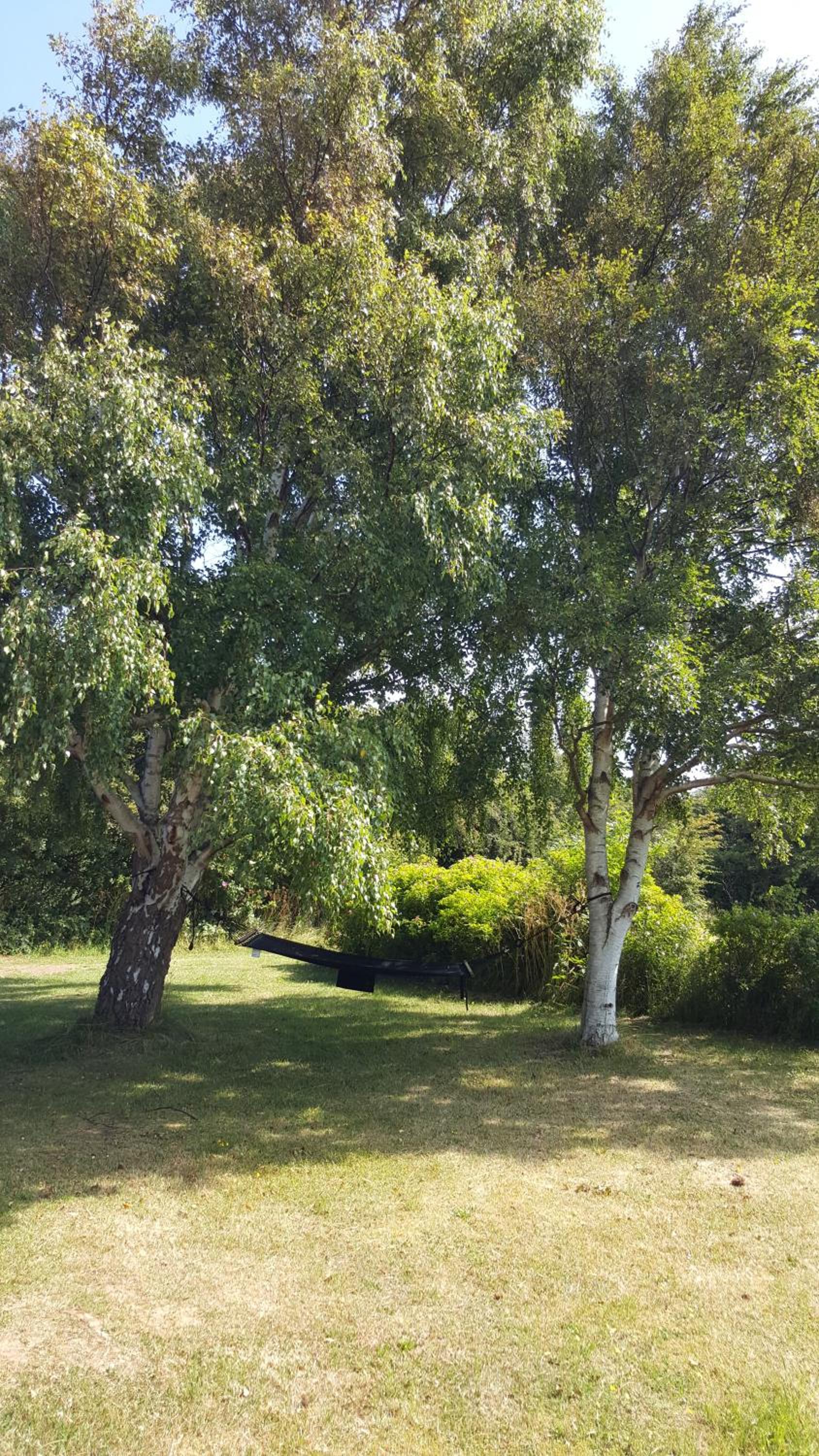 Panoramic seaview from cottage