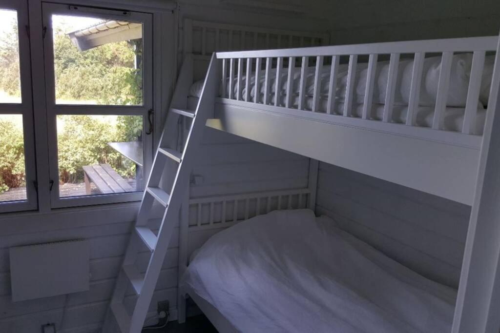Panoramic seaview from cottage