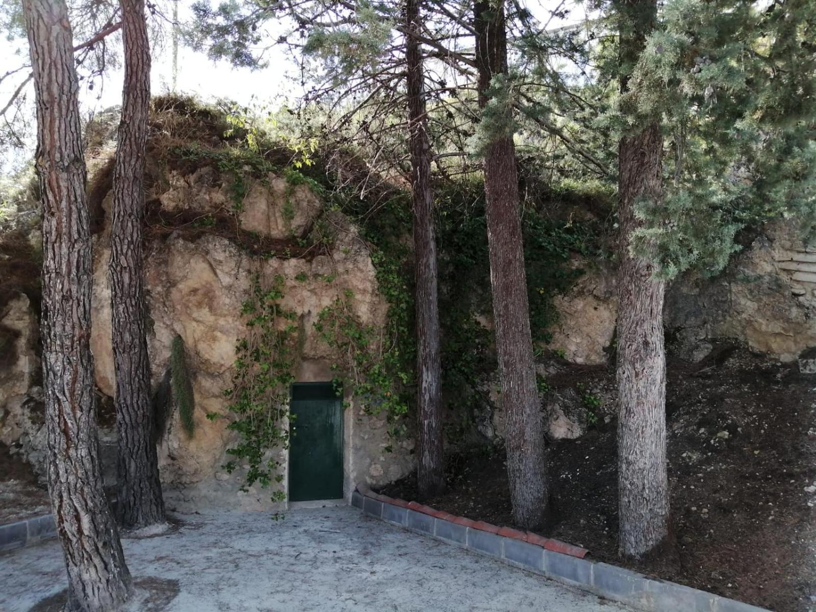 Photo 15