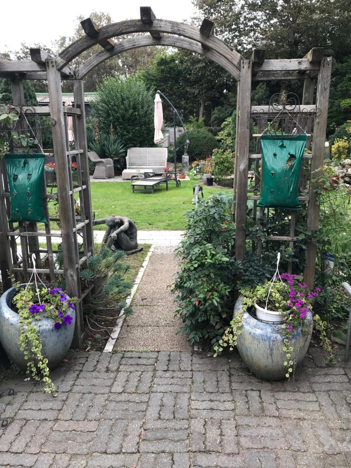 Photo 29