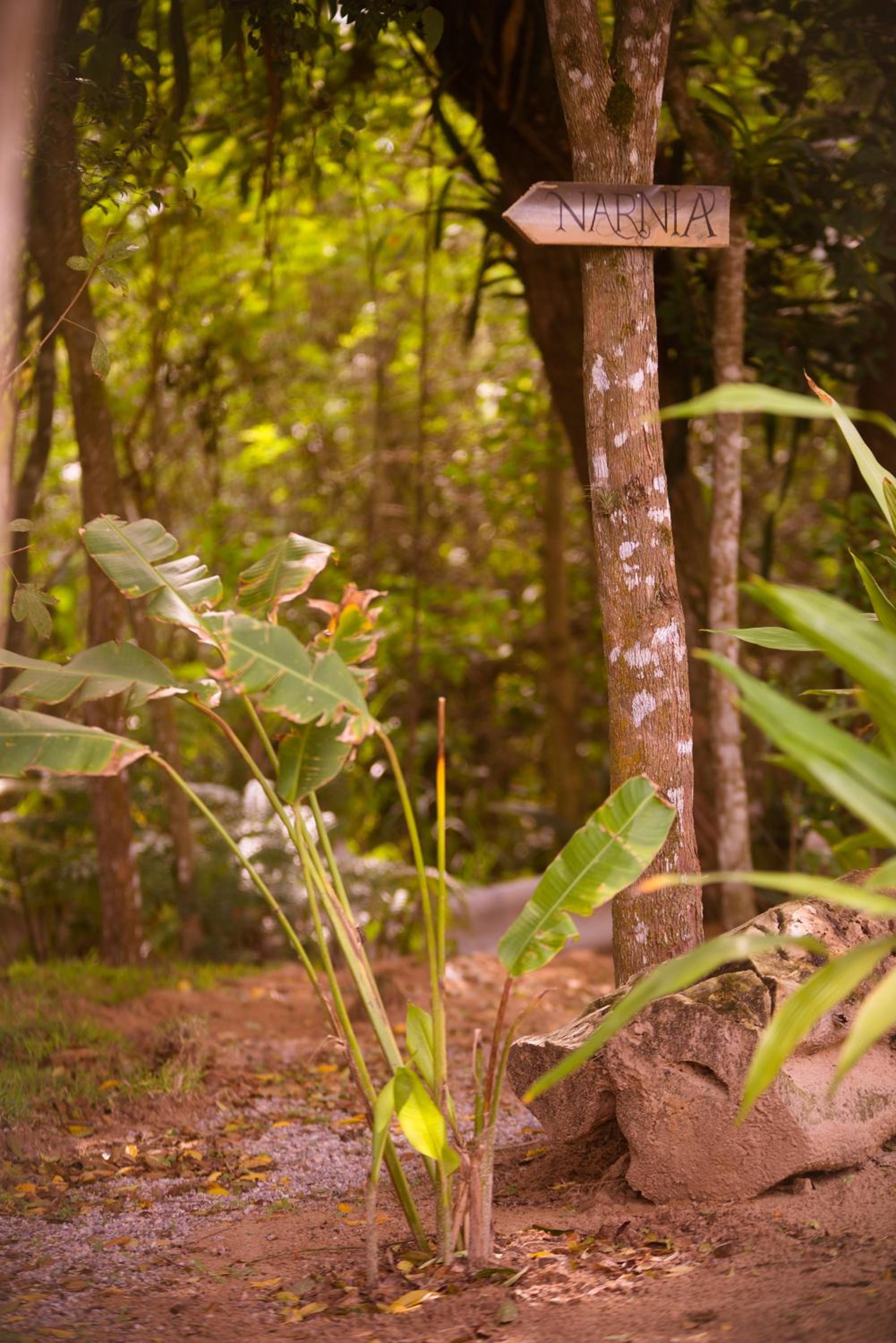 Pousada Reserva Brasileira