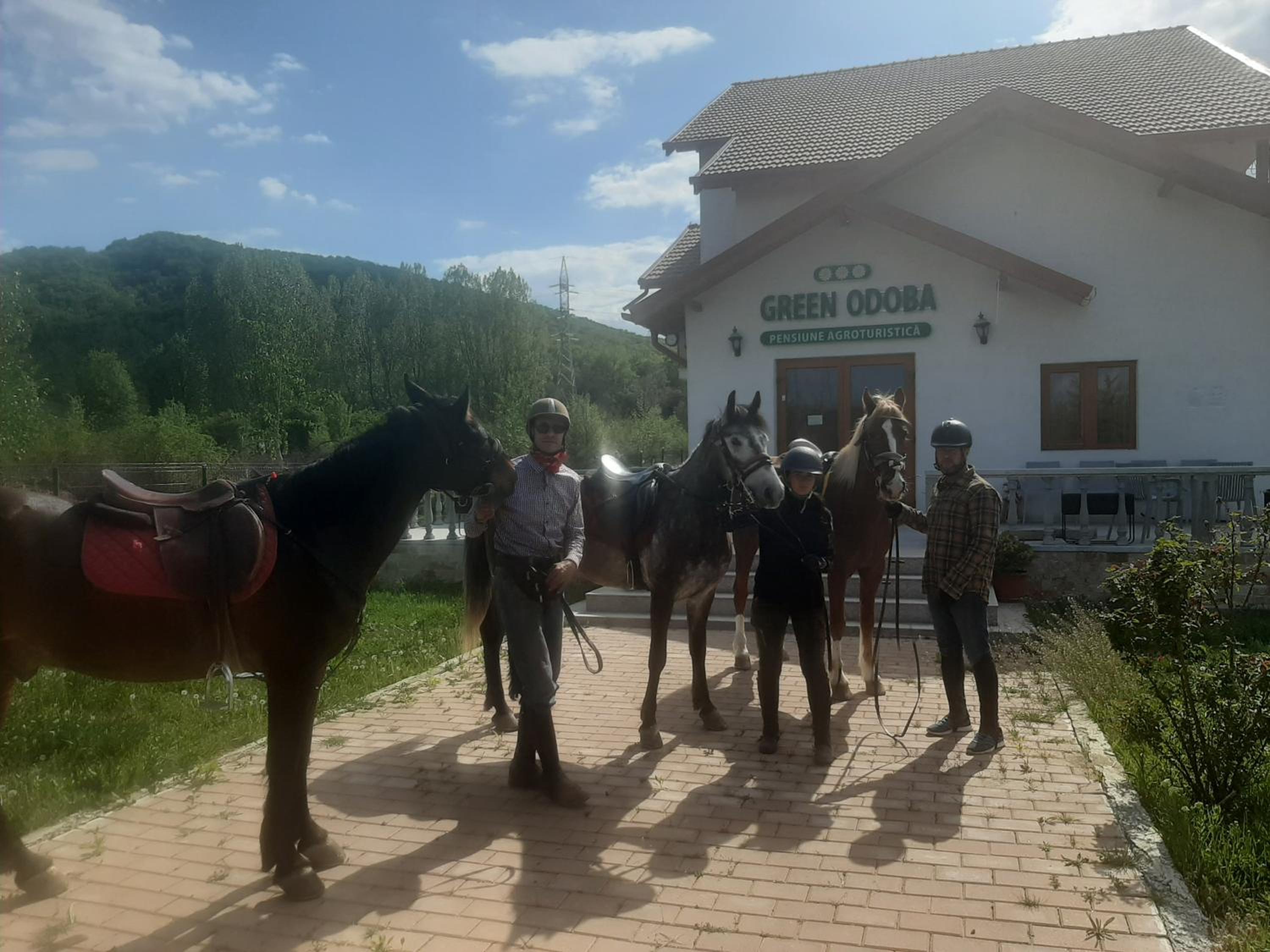 Pensiunea Agroturistica Green Odoba